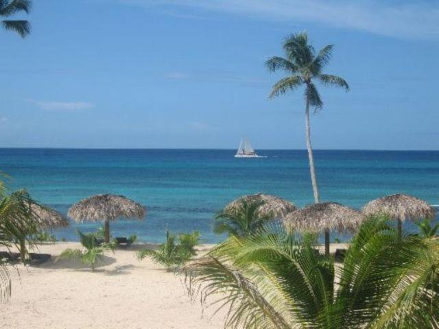 Appartamenti in Cadaques Caribe - Photo 3