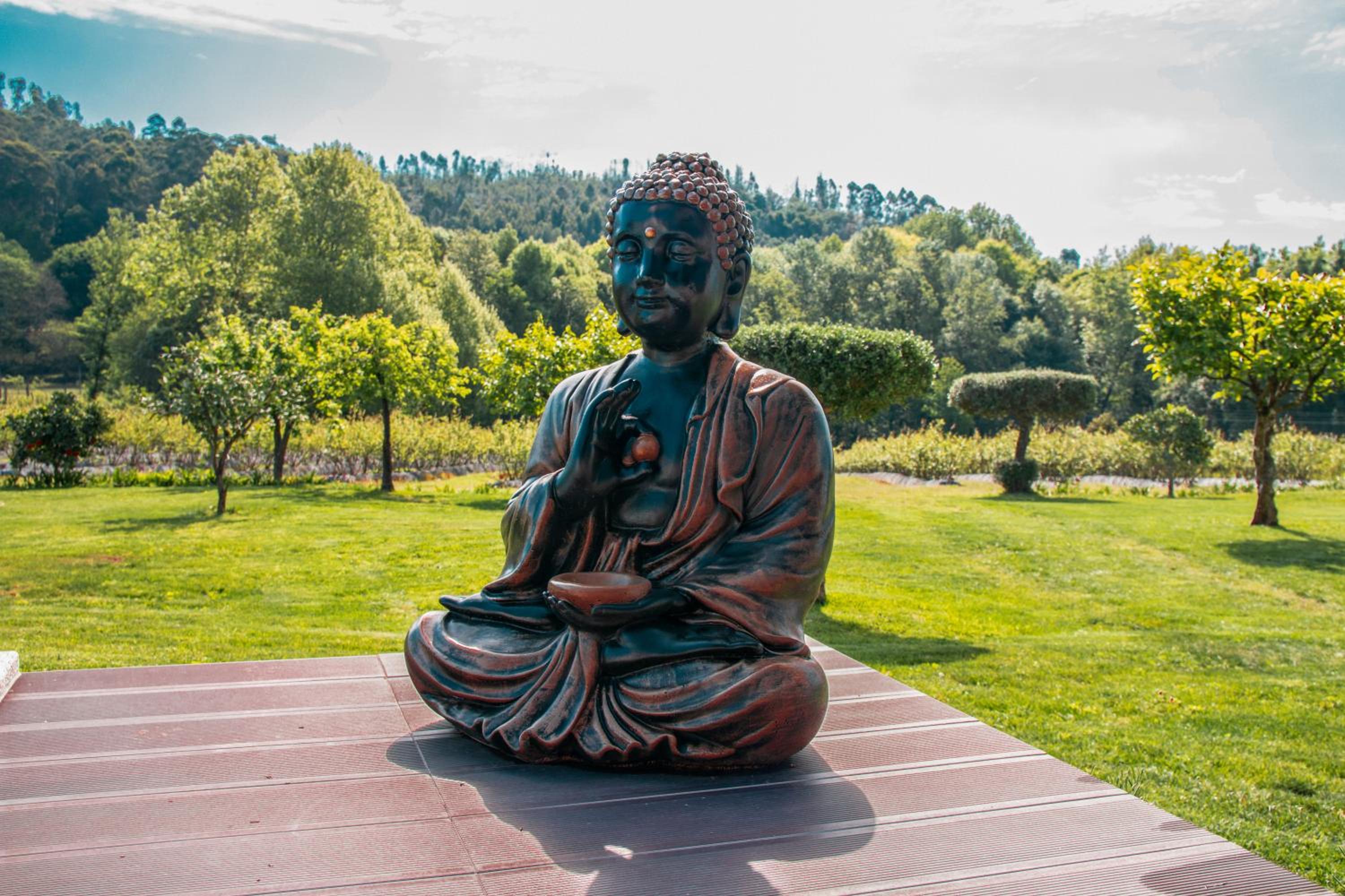 Quinta de Requeixo view 5
