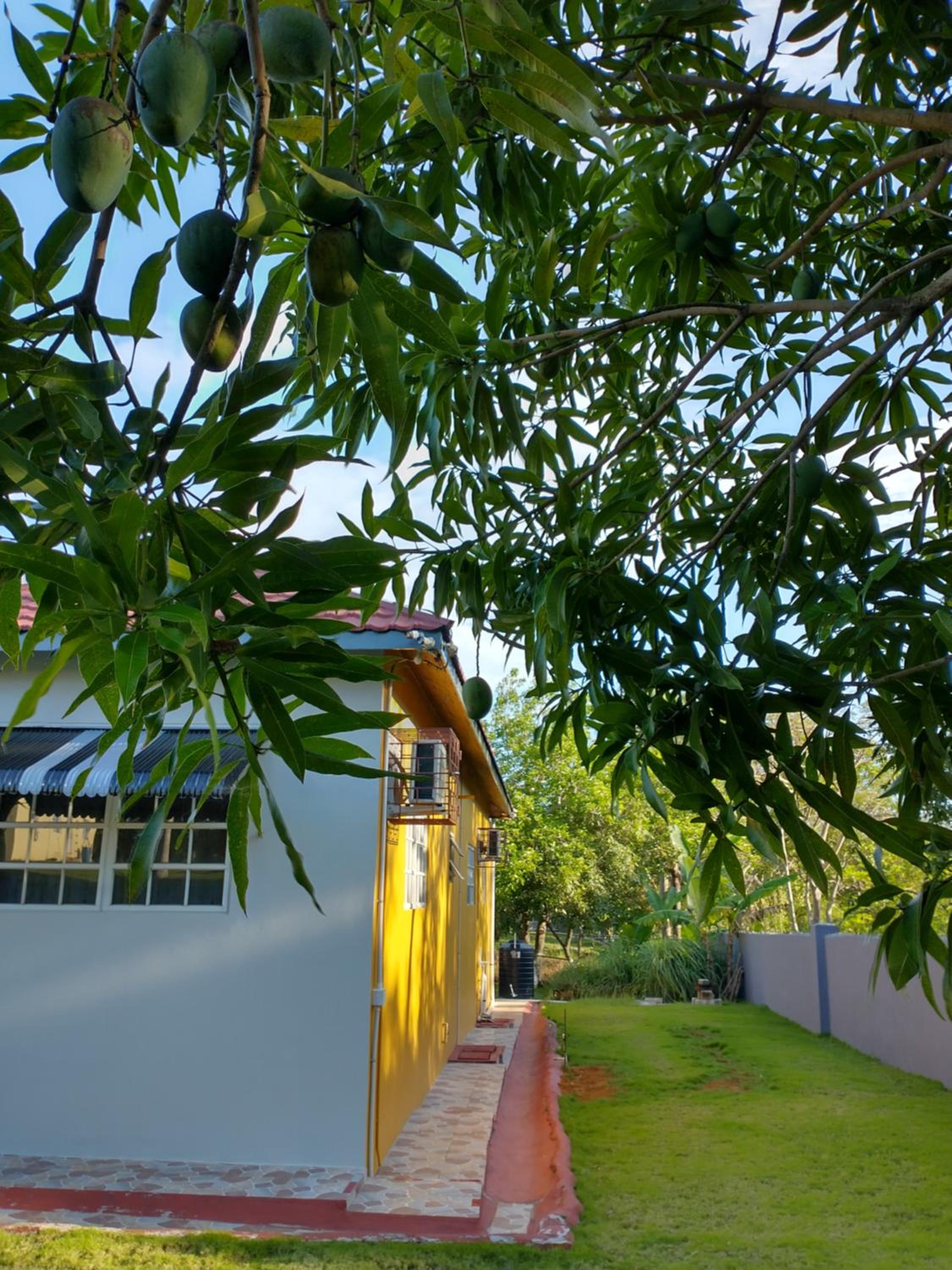 Ultimate Freedom Bed and Breakfast view 4