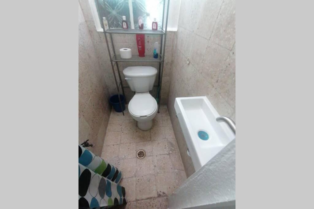 Photo 11