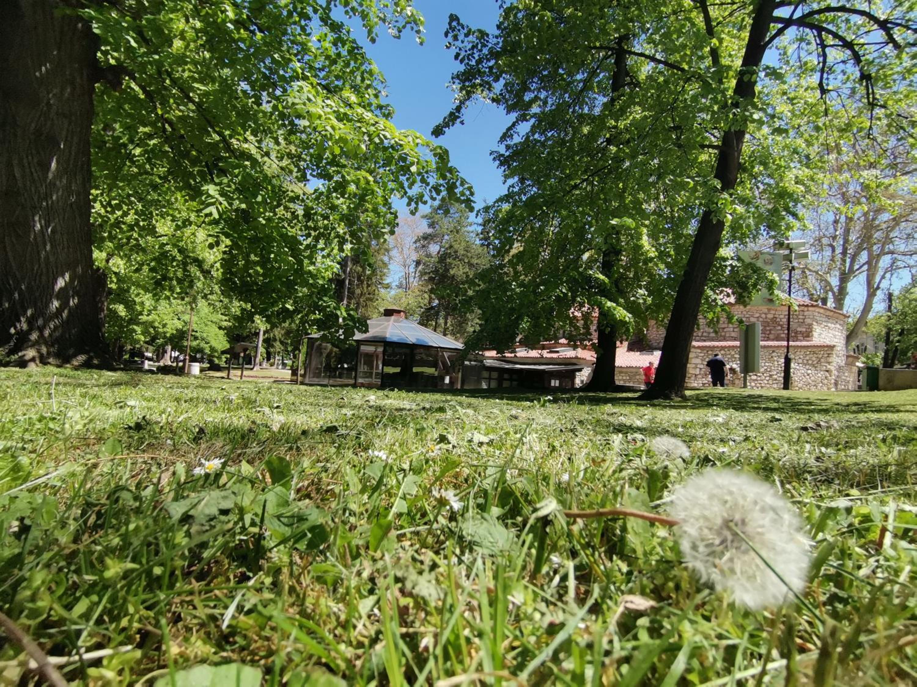 Photo 11