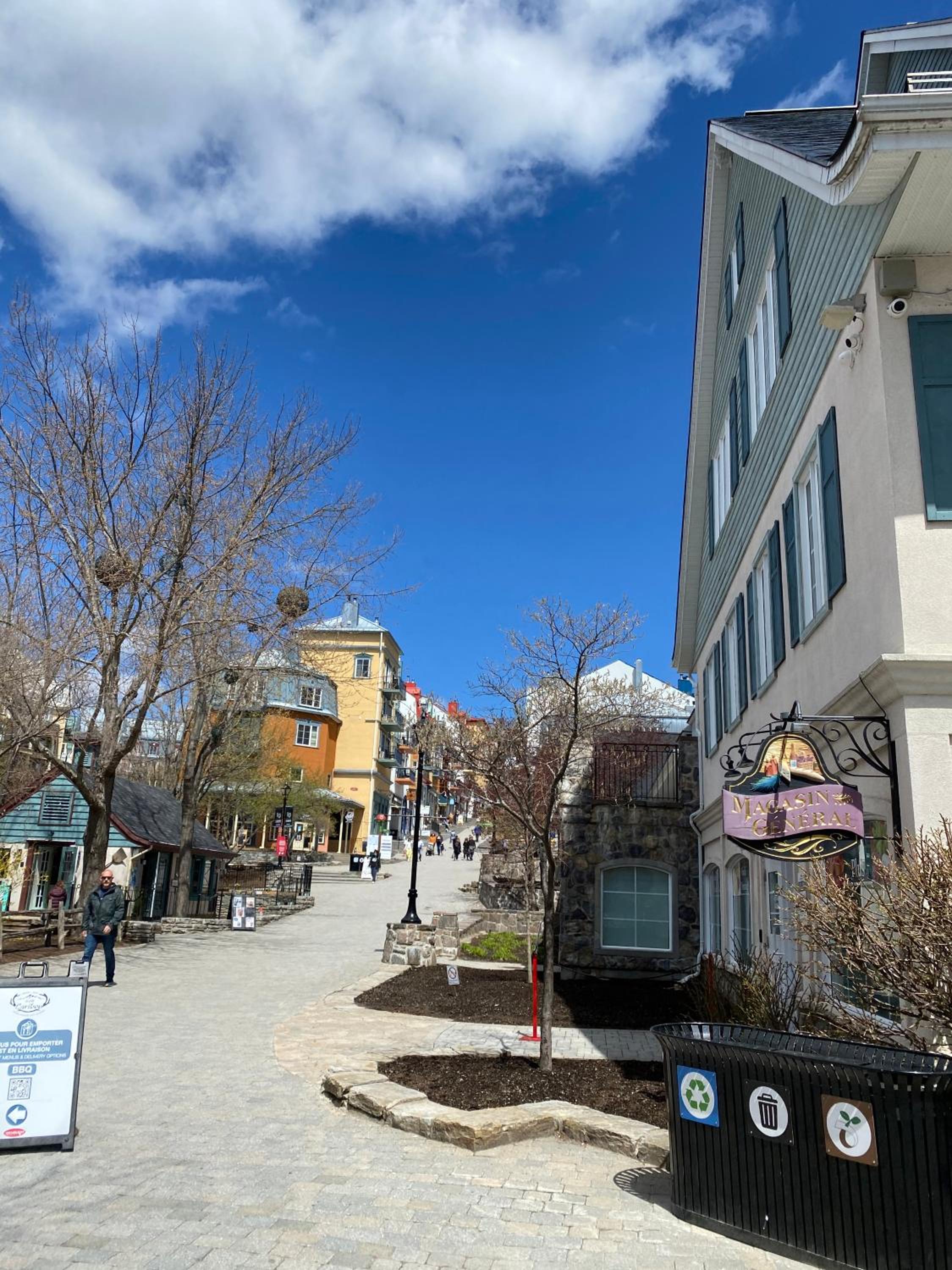 Mountain view fully renovated 6-8 people condo