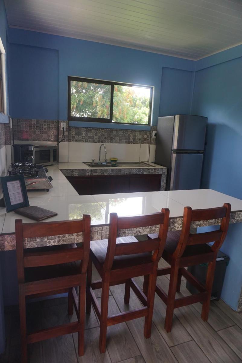 Casitas Joys & Leo - Tucan