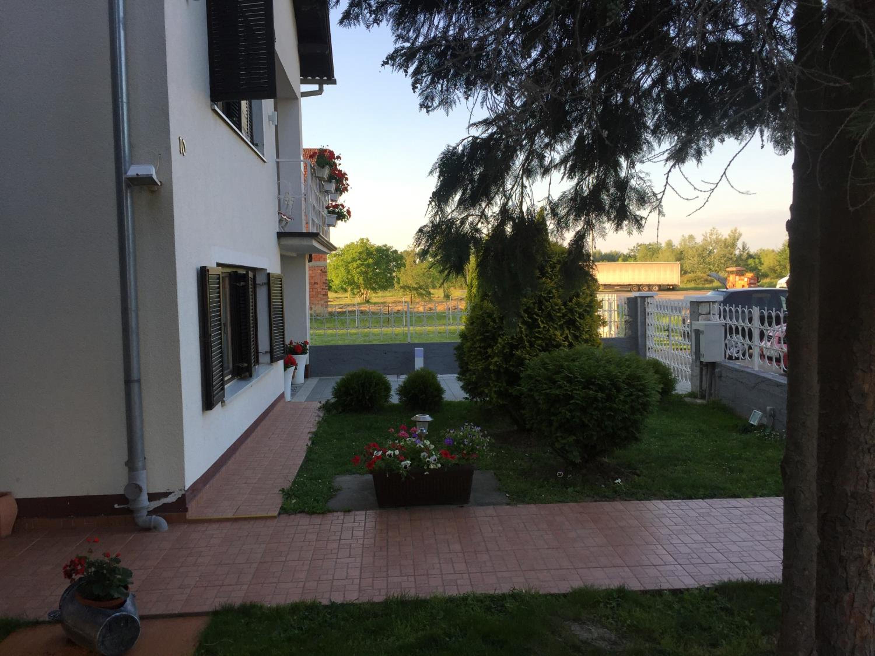 Photo 11