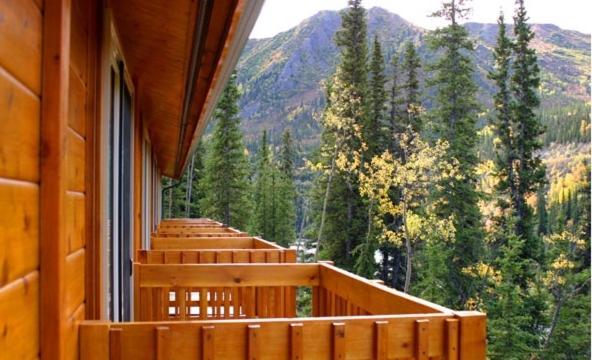 Denali Grizzly Bear Resort