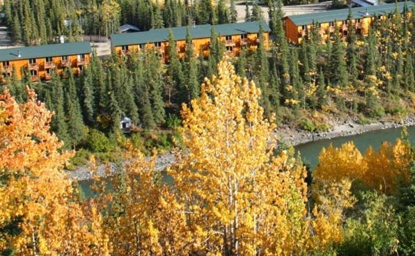 Denali Grizzly Bear Resort
