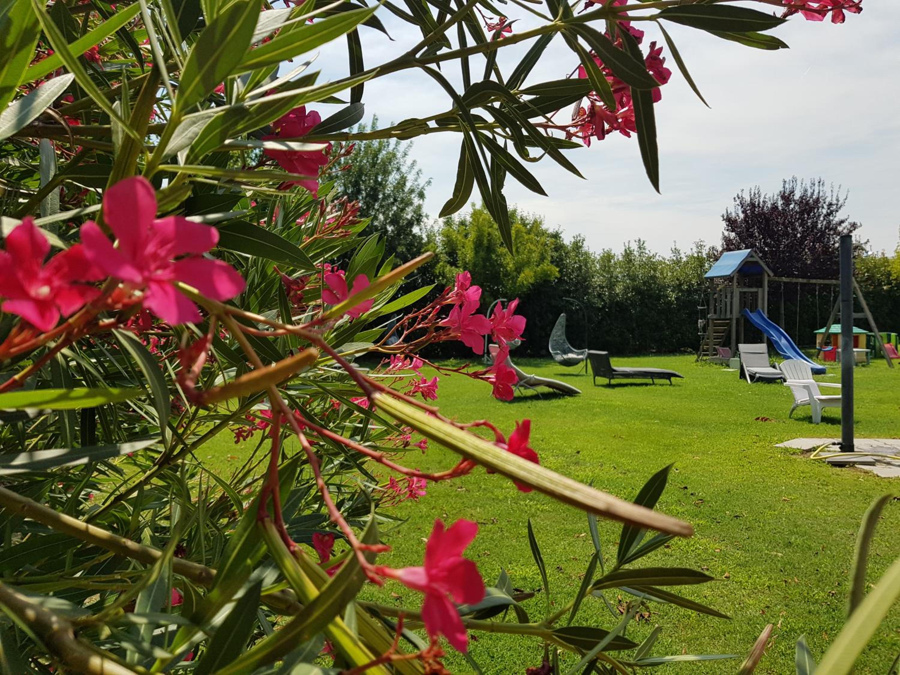 Il Giardino Di Rebecca