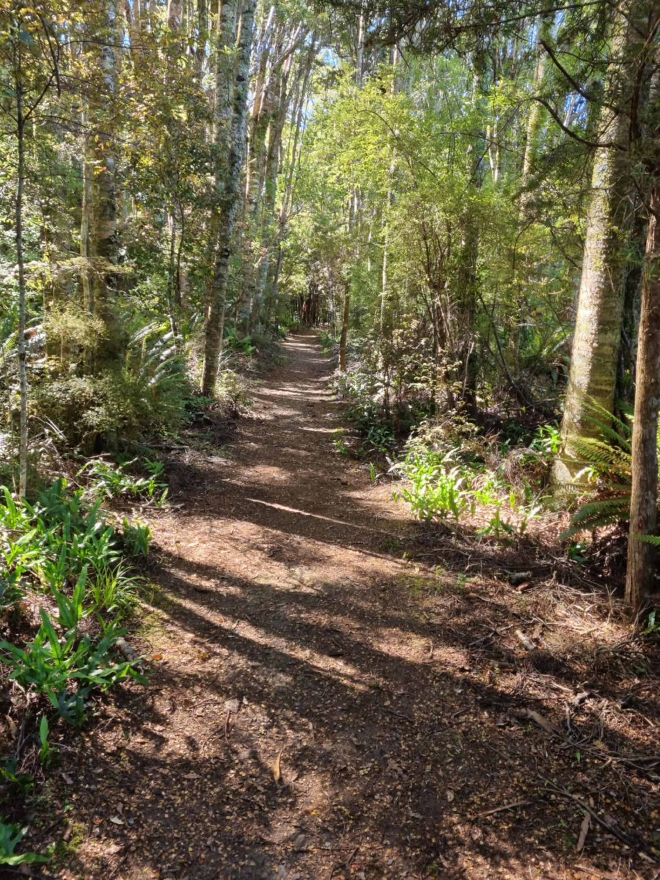 Catlins Lake Sanctuary