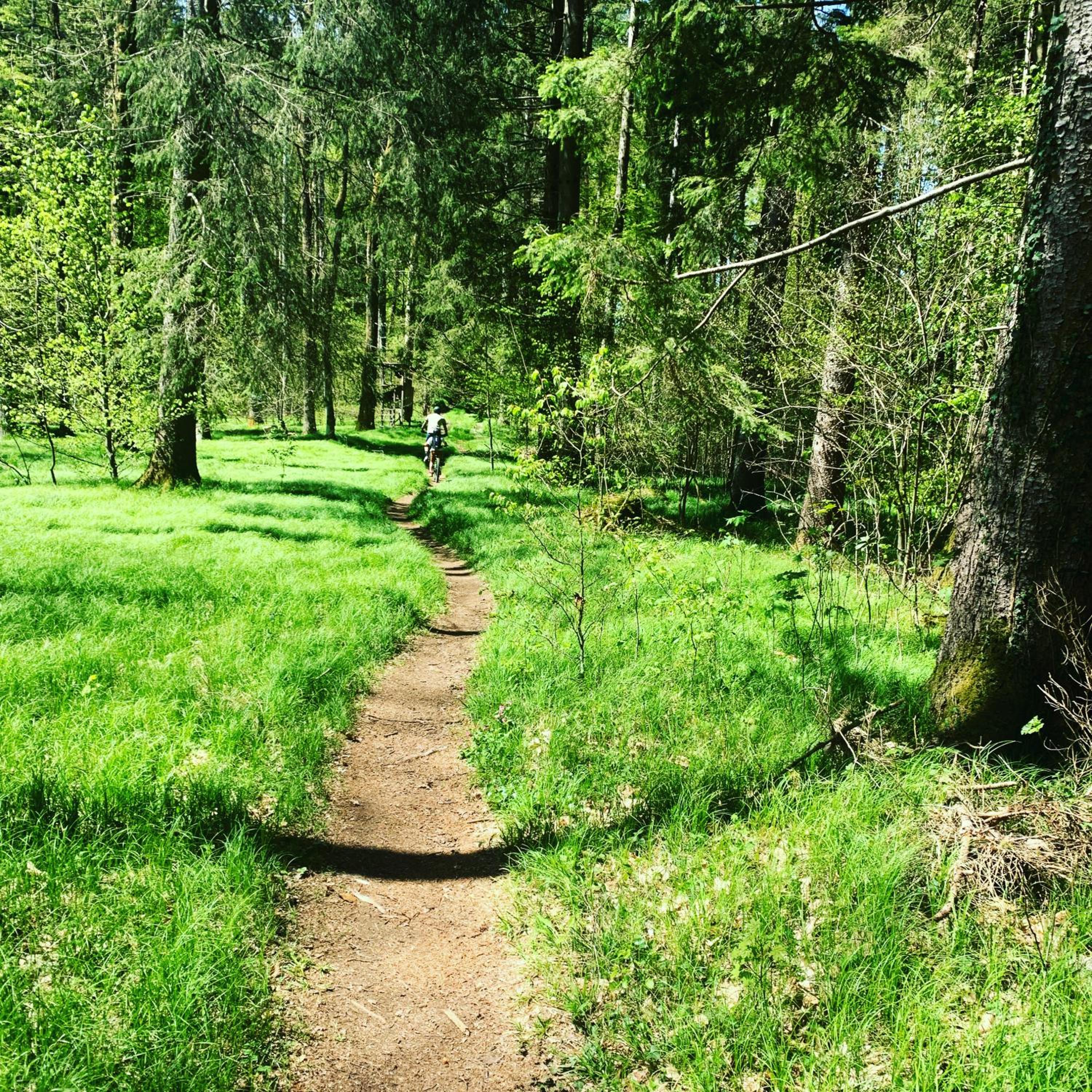 HJEM - Tiny Homes direkt am Wald zwischen Allgäu & Bodensee