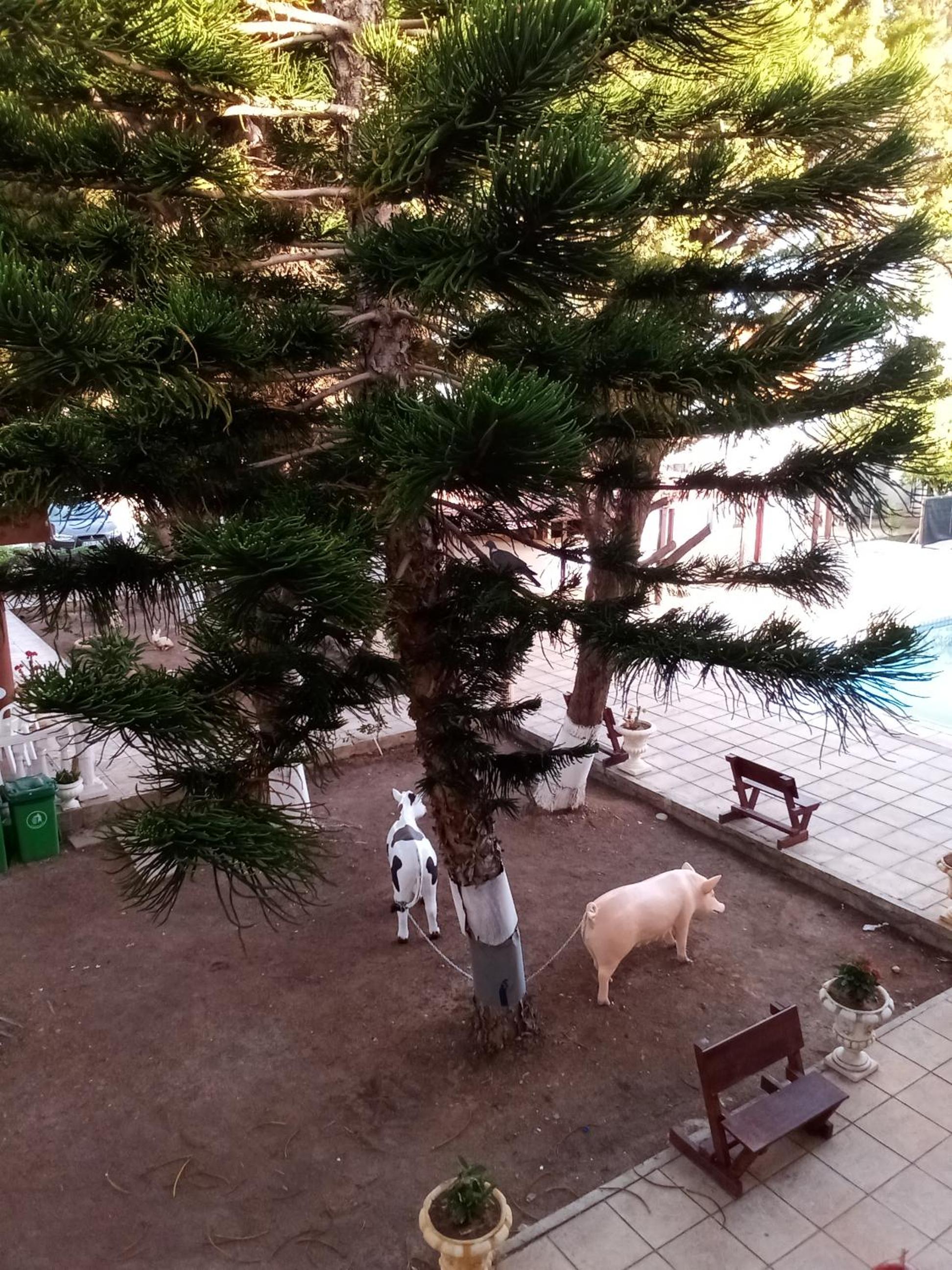 anastasia holiday apartments