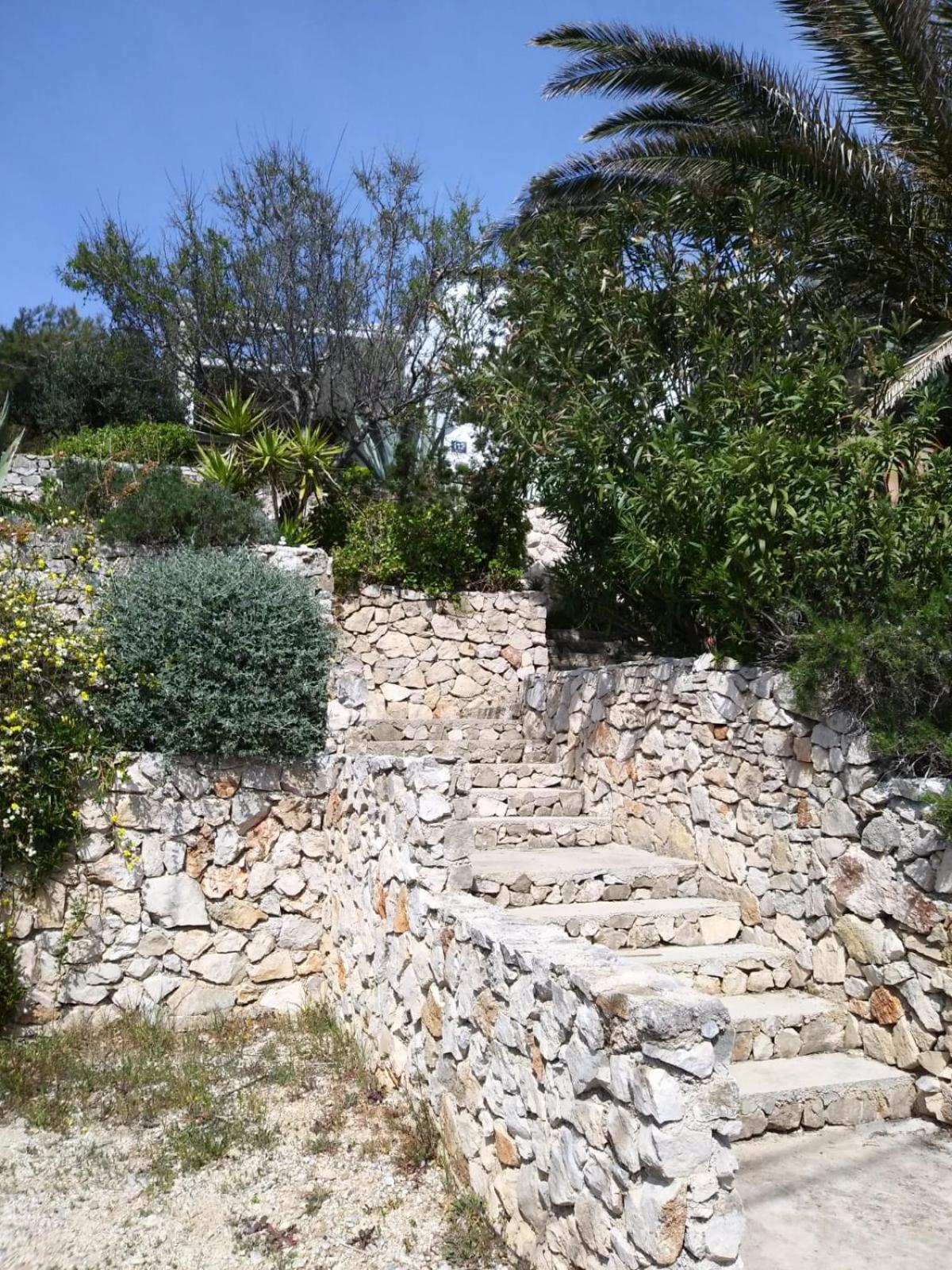 Photo 24