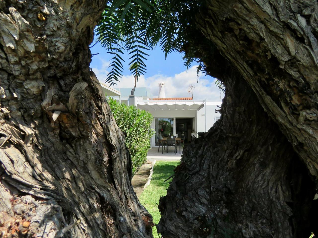 Casa Sur **** view 3