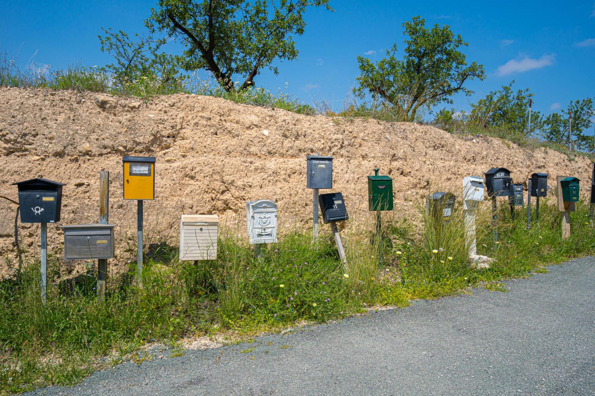 Photo 44