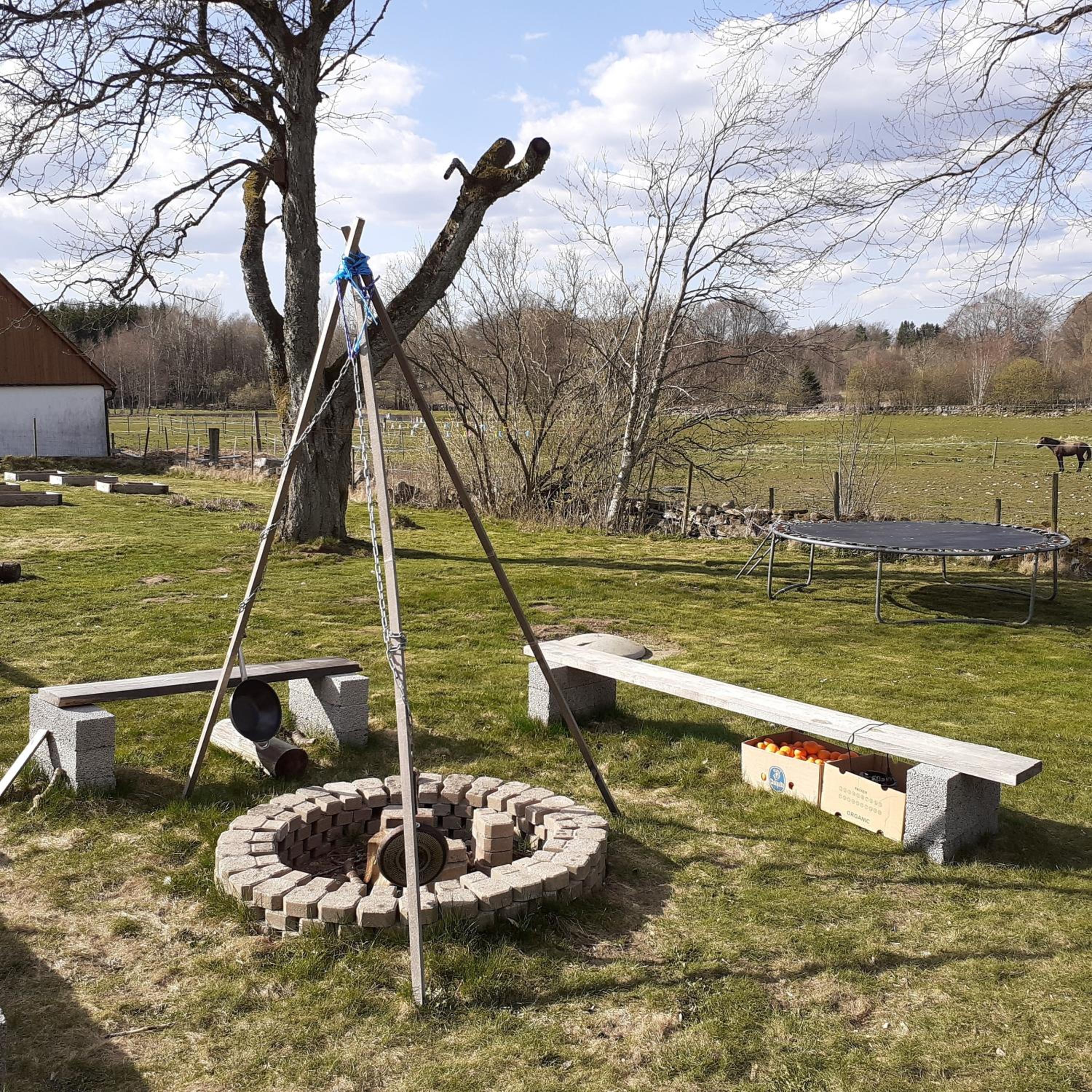 Photo 17