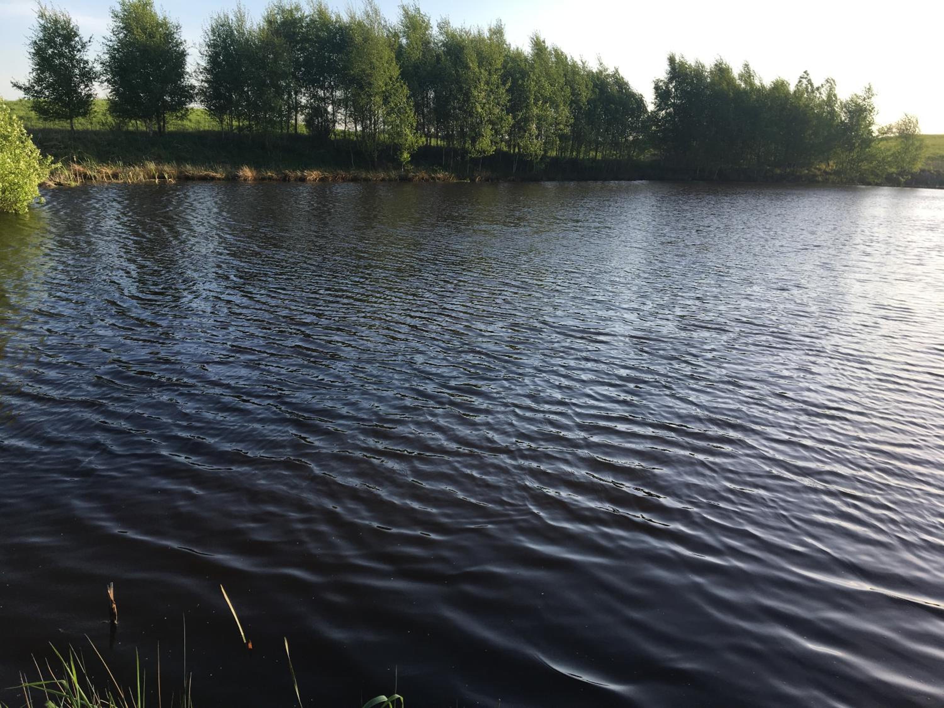 Photo 18