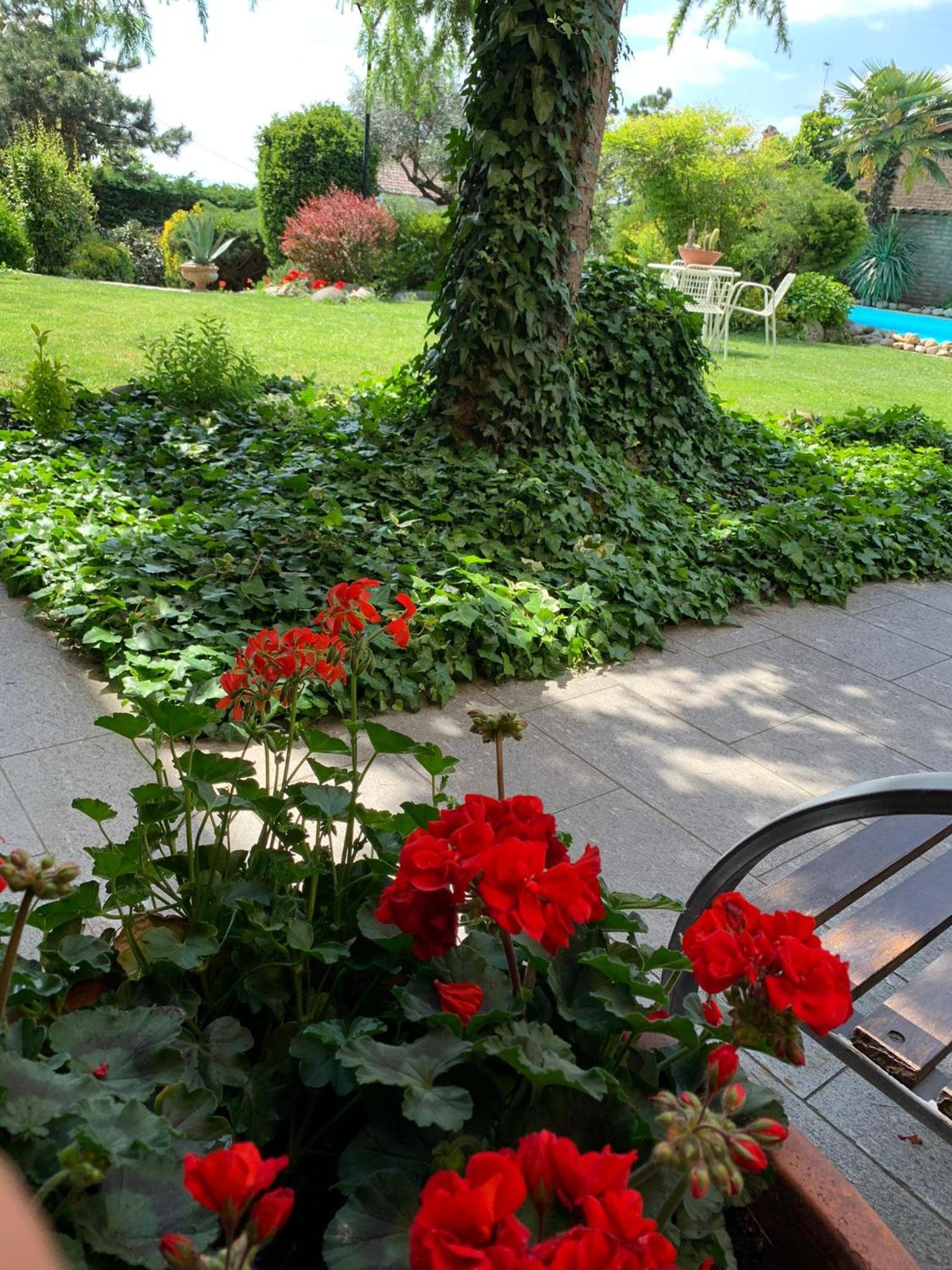 Photo 19