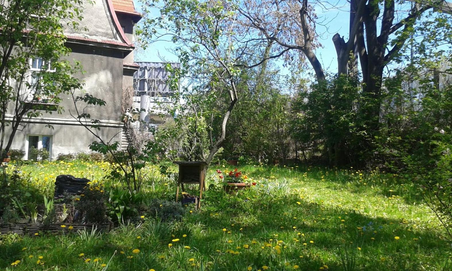Photo 52