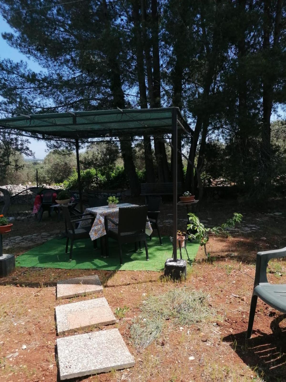 Photo 40