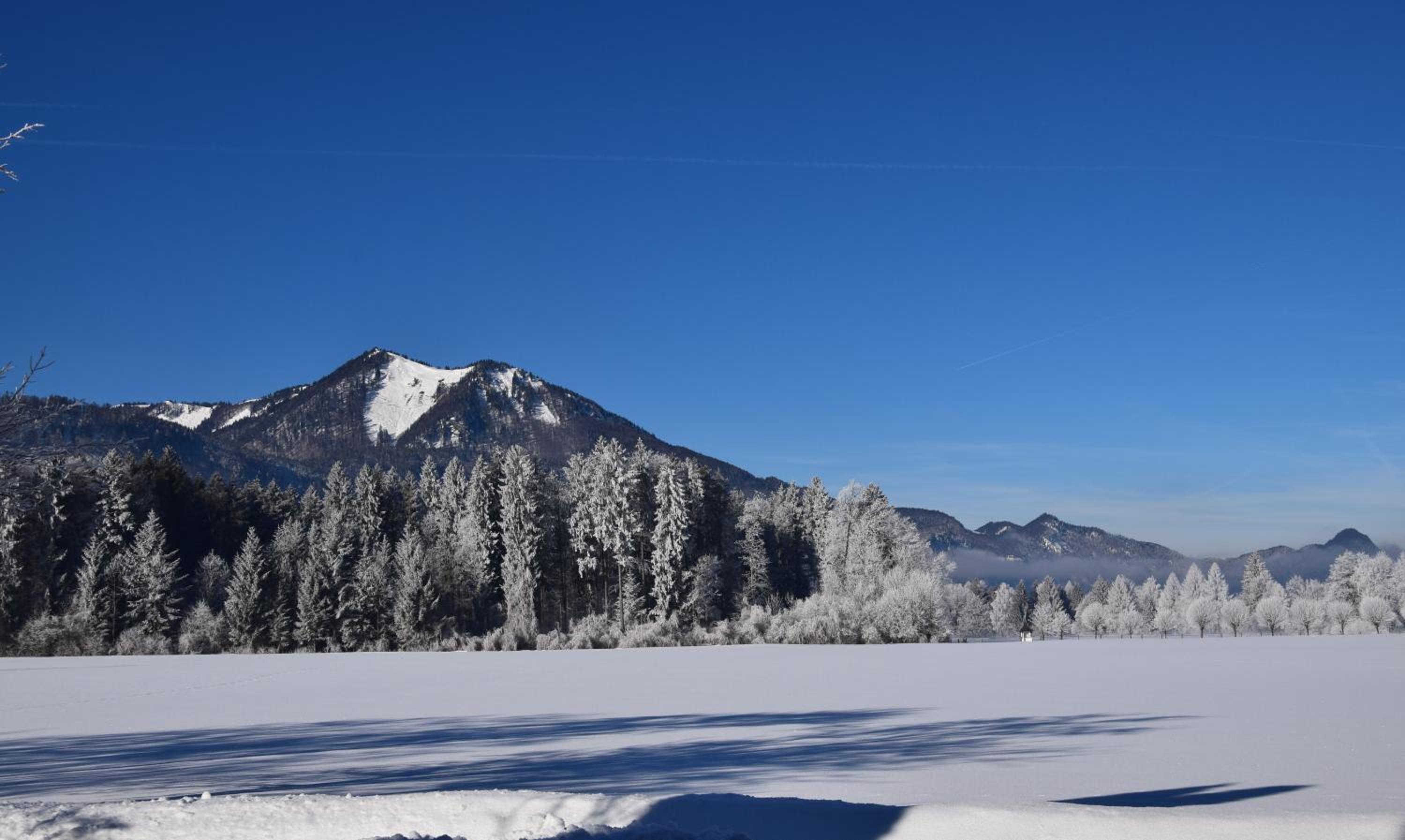 Loitzbauer Ferienwohnungen