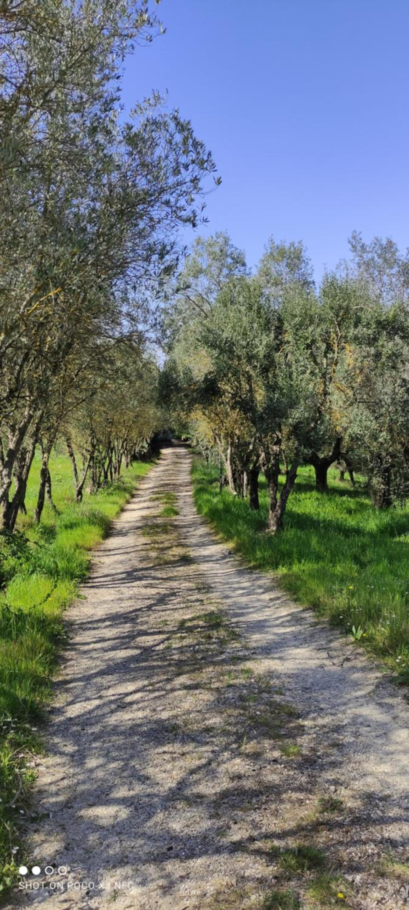 Fattoria Il Milione Agriturismo