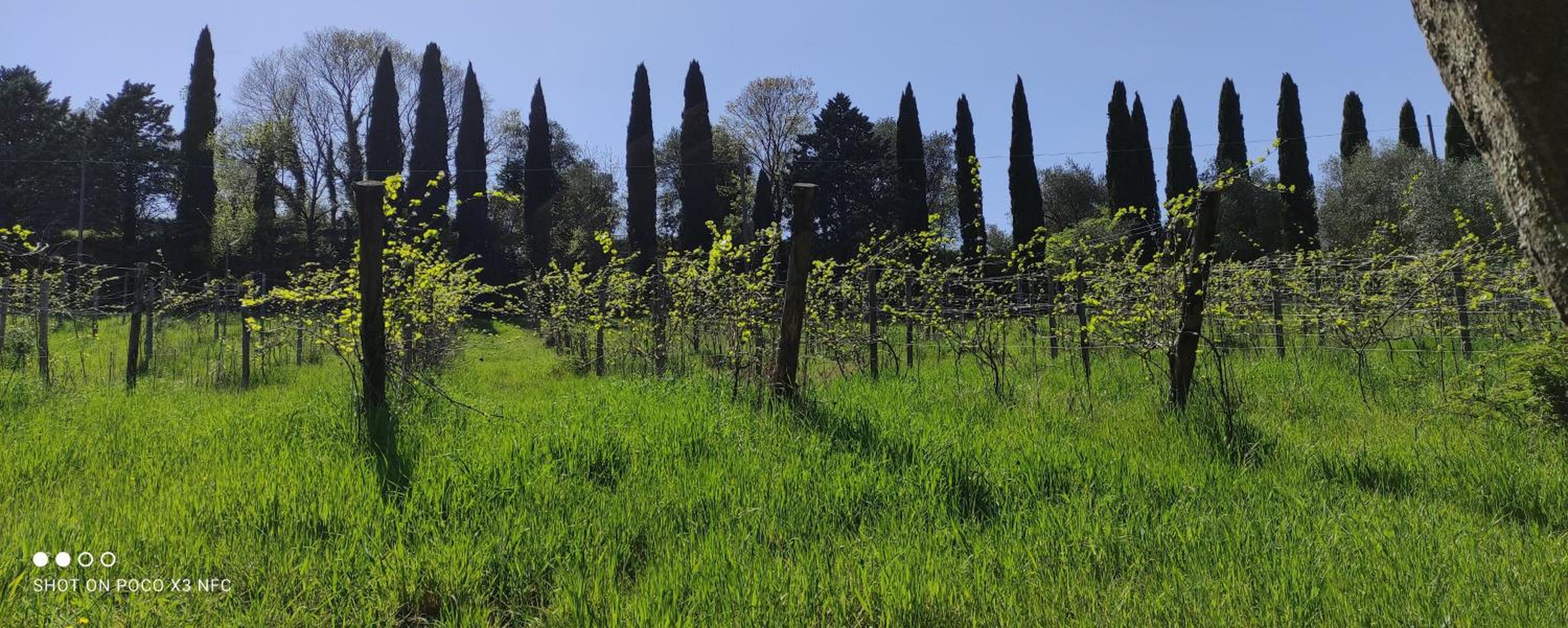 Fattoria Il Milione Agriturismo