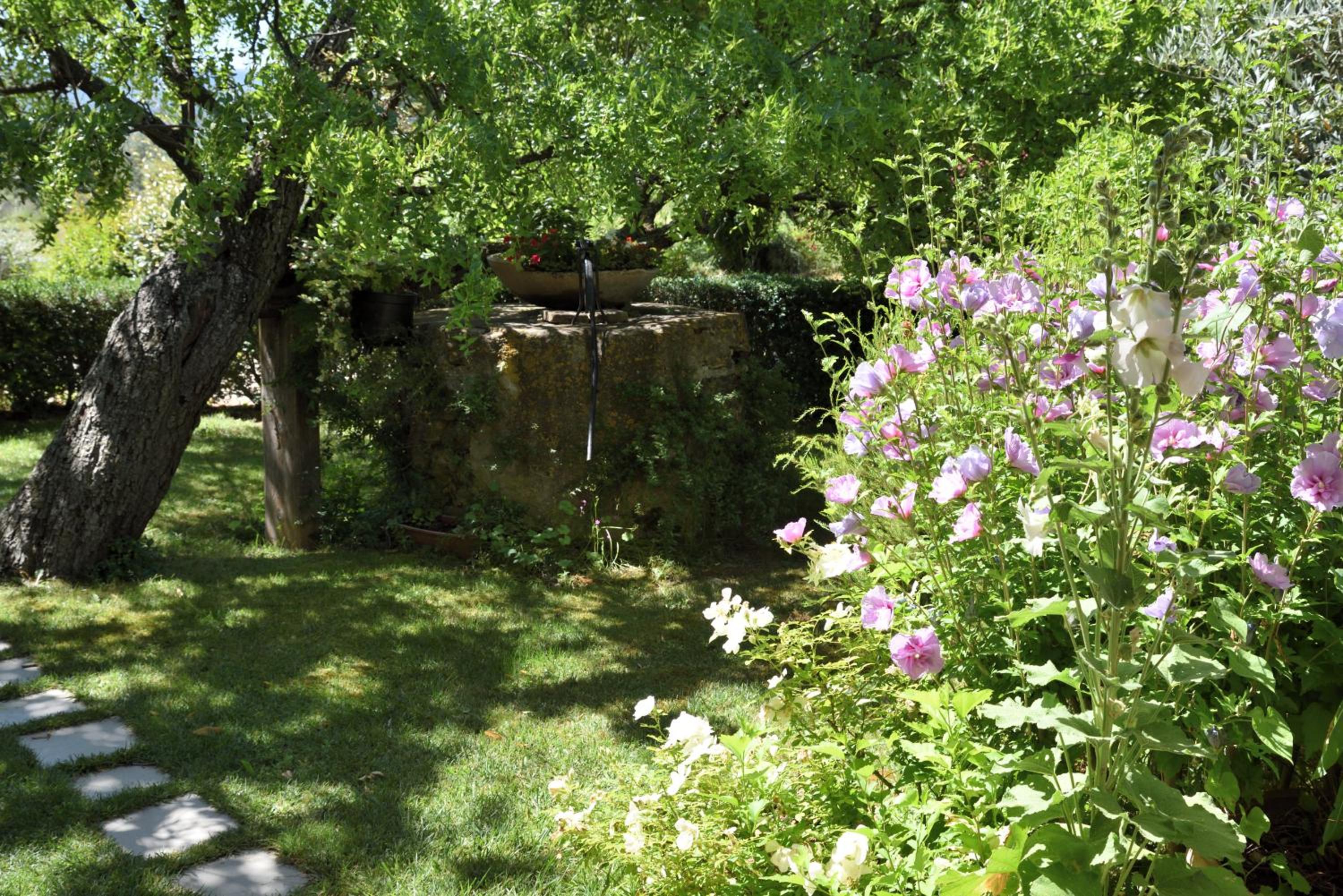 Photo 66