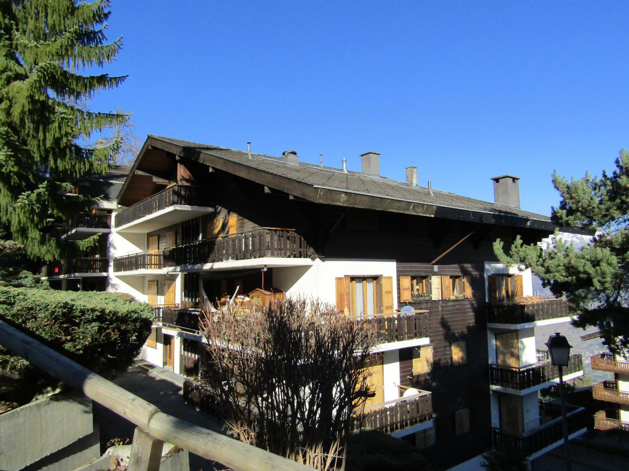 Photo 44