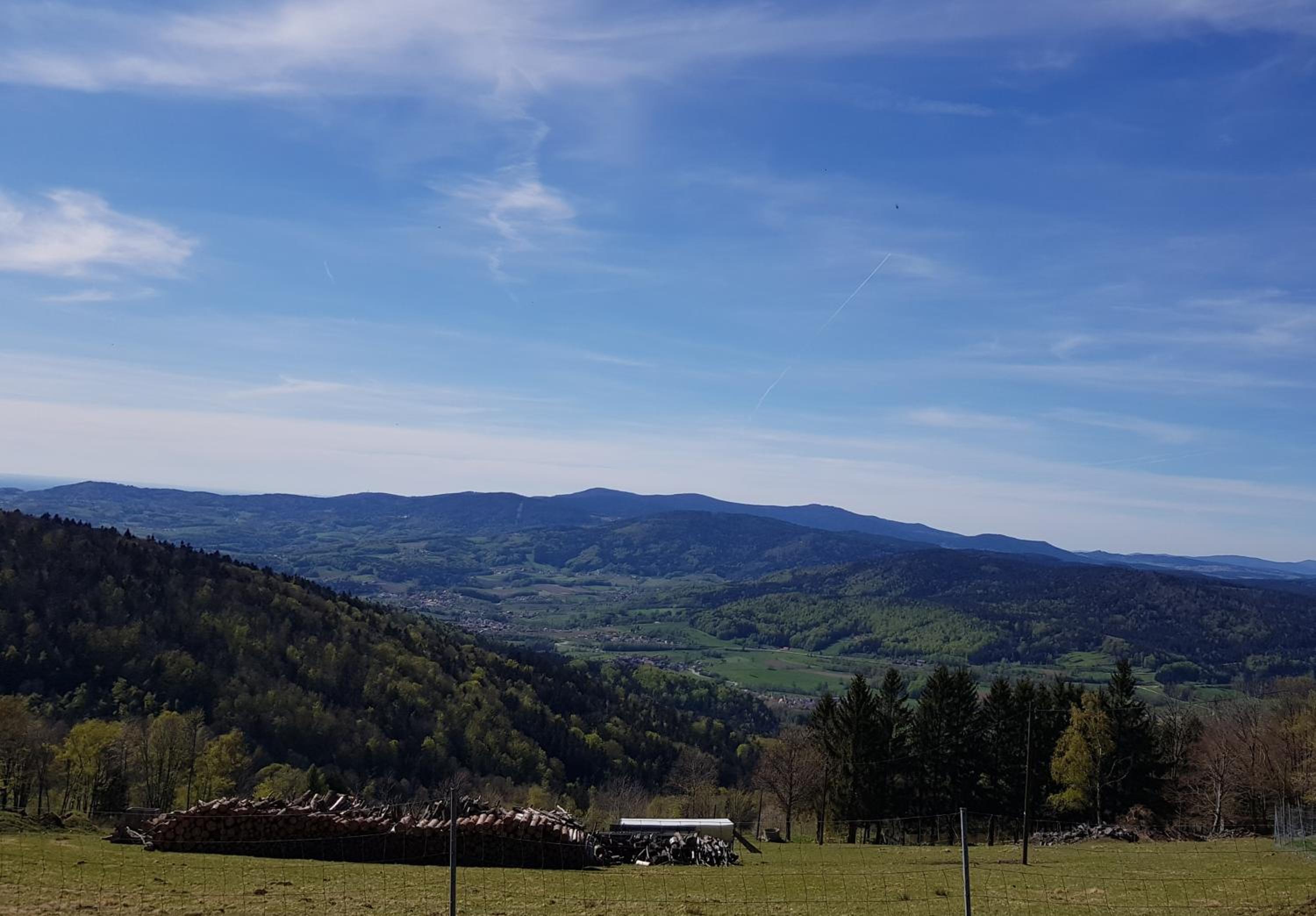 Ferienwohnung 32 im Ferienland Sonnenwald - Bayerischer Wald view 4
