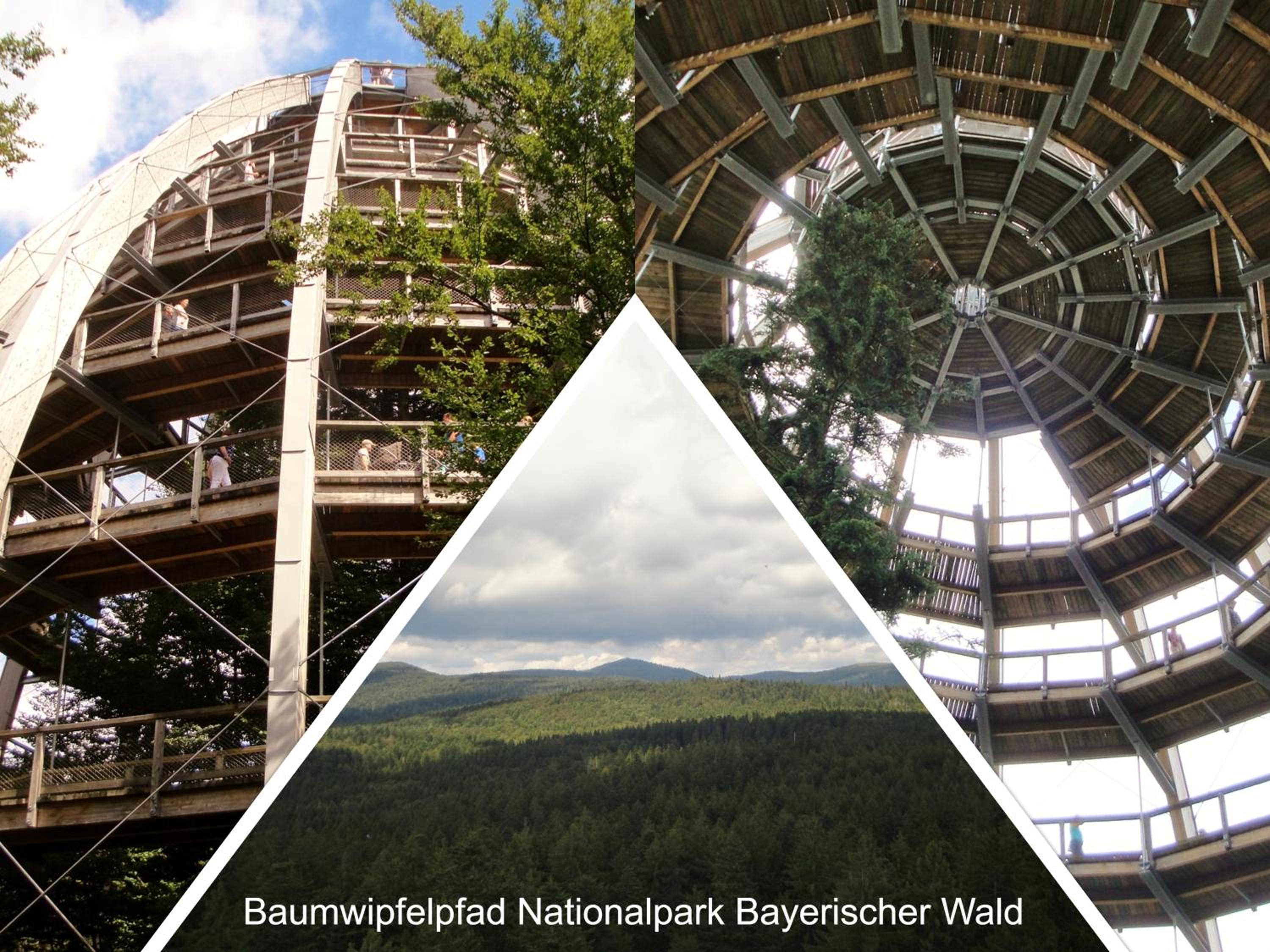 Ferienwohnung 32 im Ferienland Sonnenwald - Bayerischer Wald view 5
