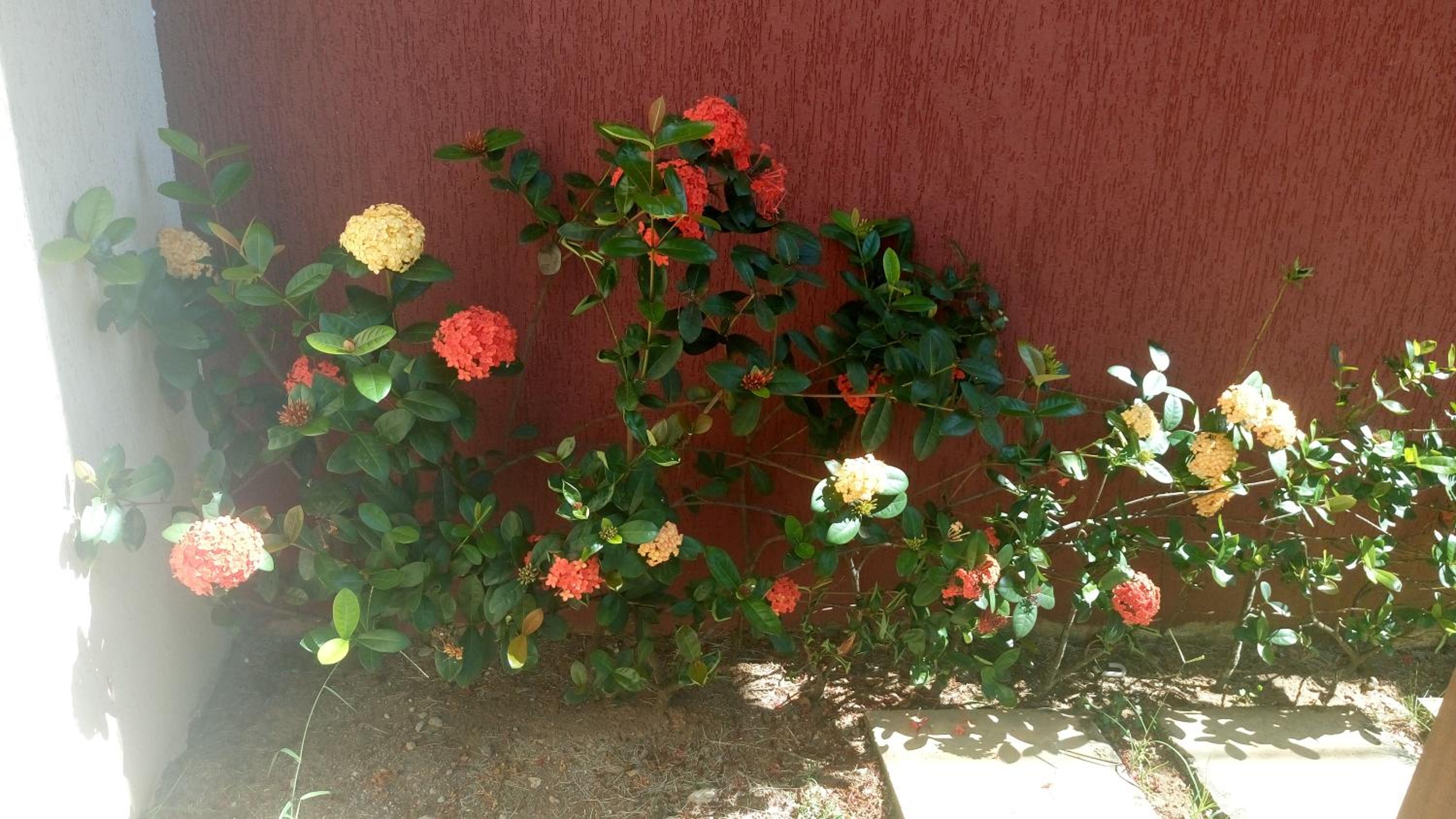 Linda Casa de Campo - Próximo à SP - Wi-Fi grátis