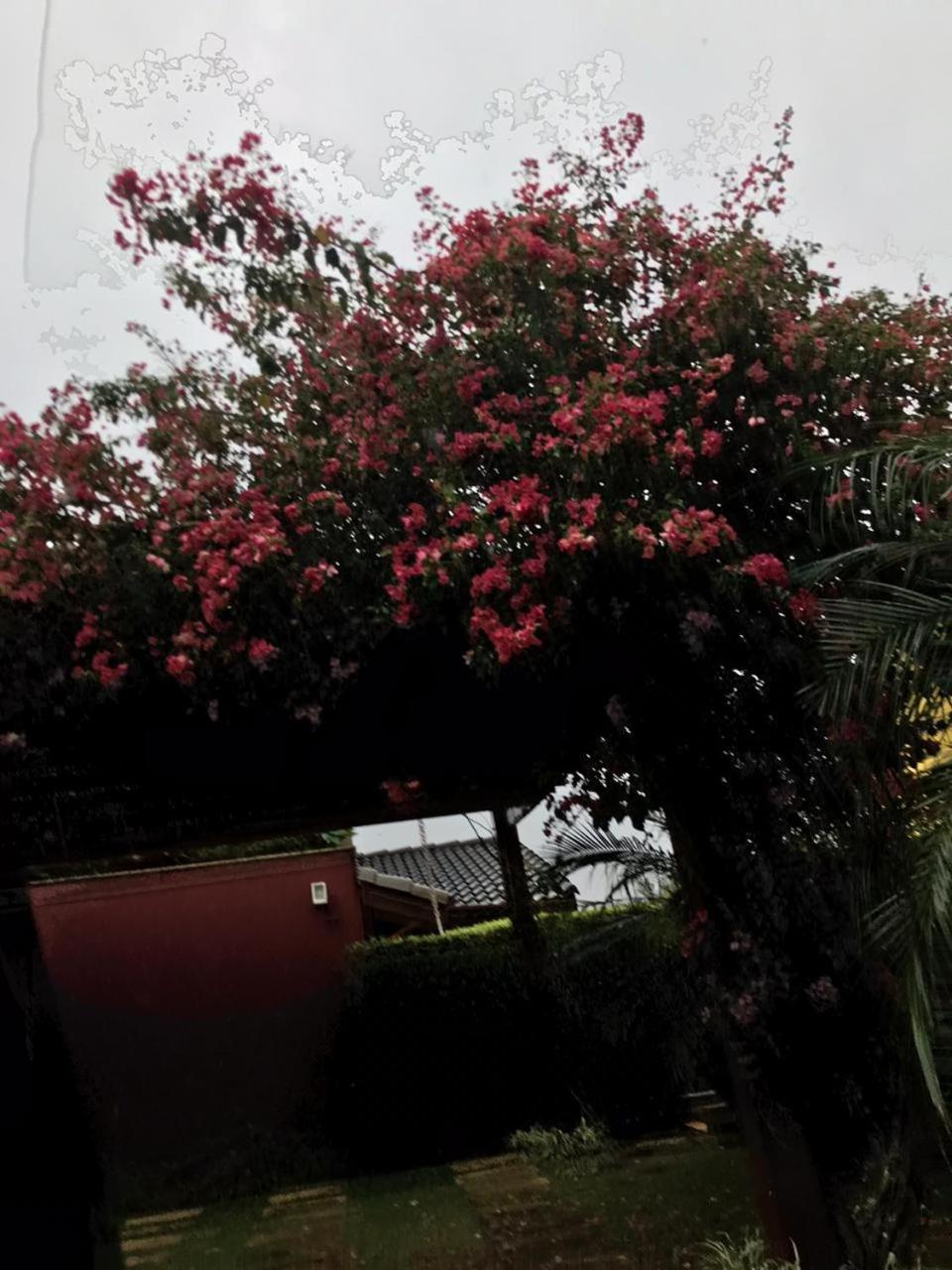 Linda Casa de Campo - Próximo à SP - Wi-Fi grátis