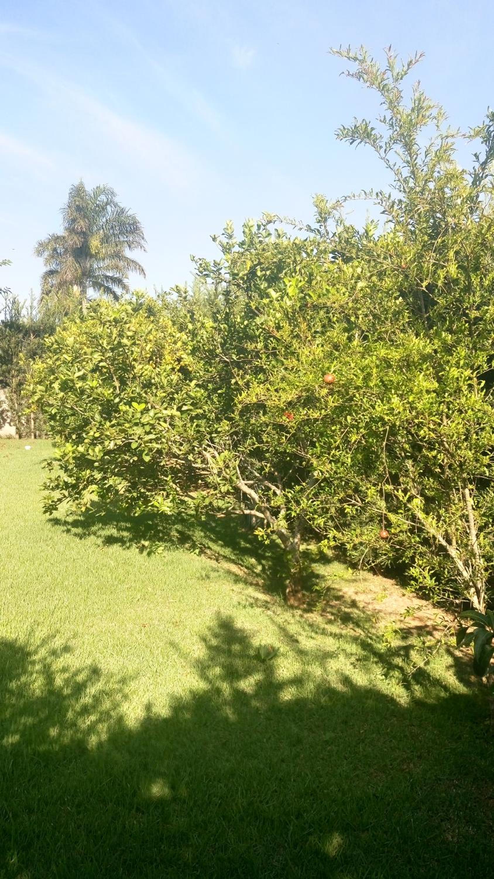 Linda Casa de Campo - Próximo à SP - Wi-Fi grátis