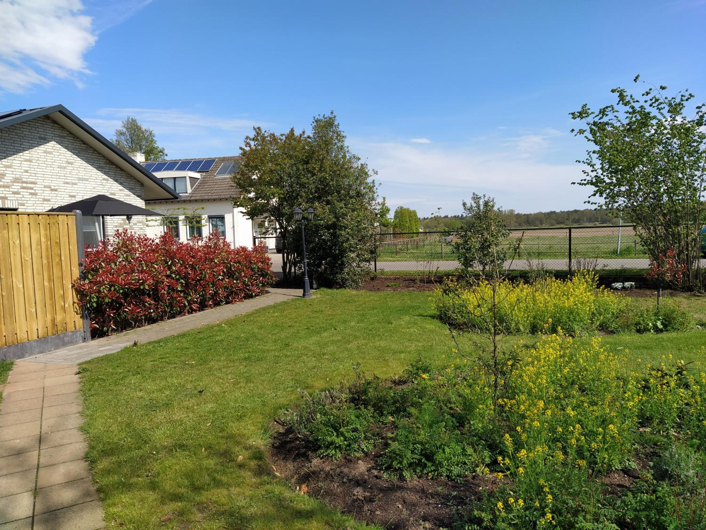 Photo 21