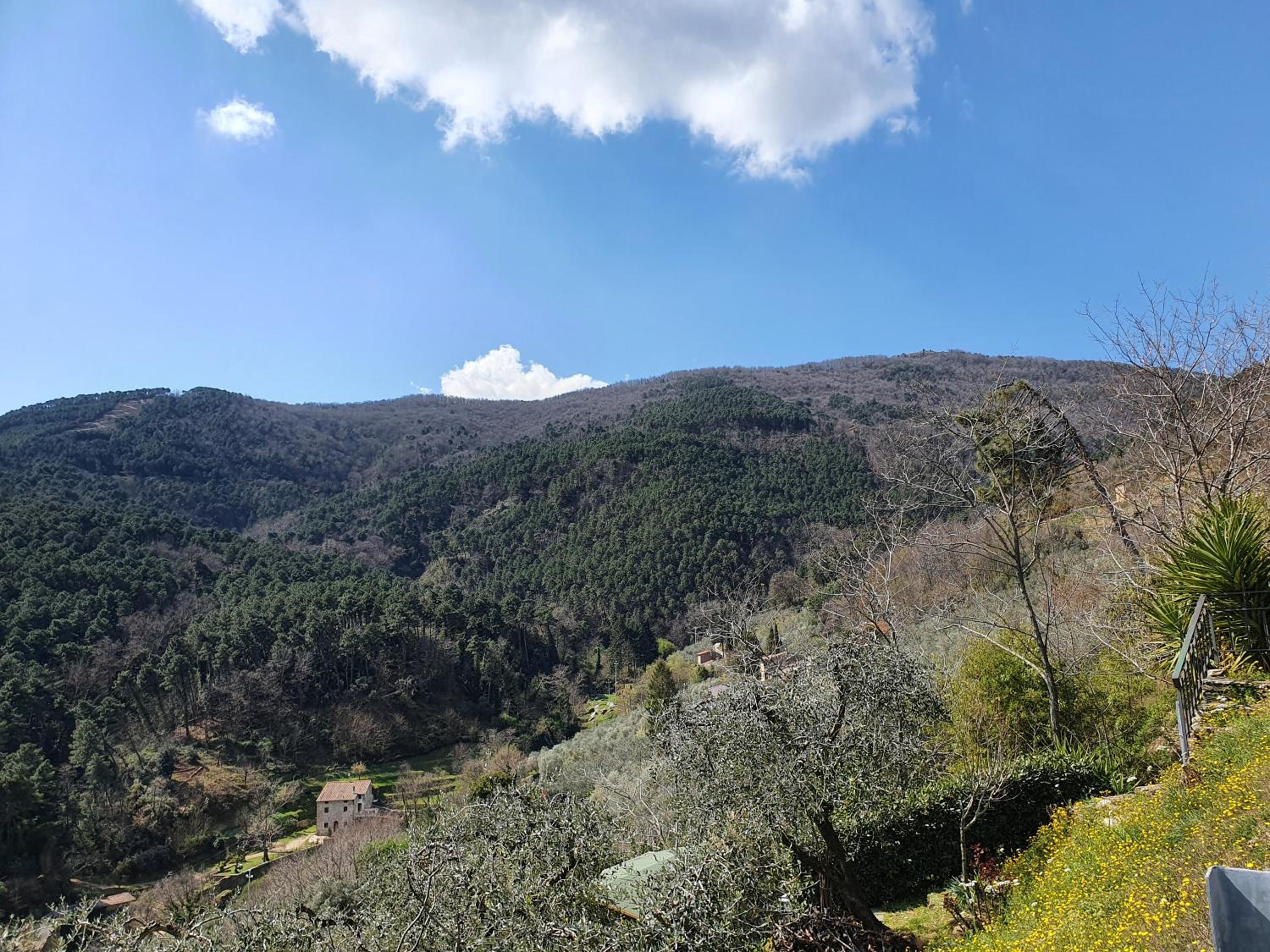 Pietra d'Acqua B&B in the woods photo 3