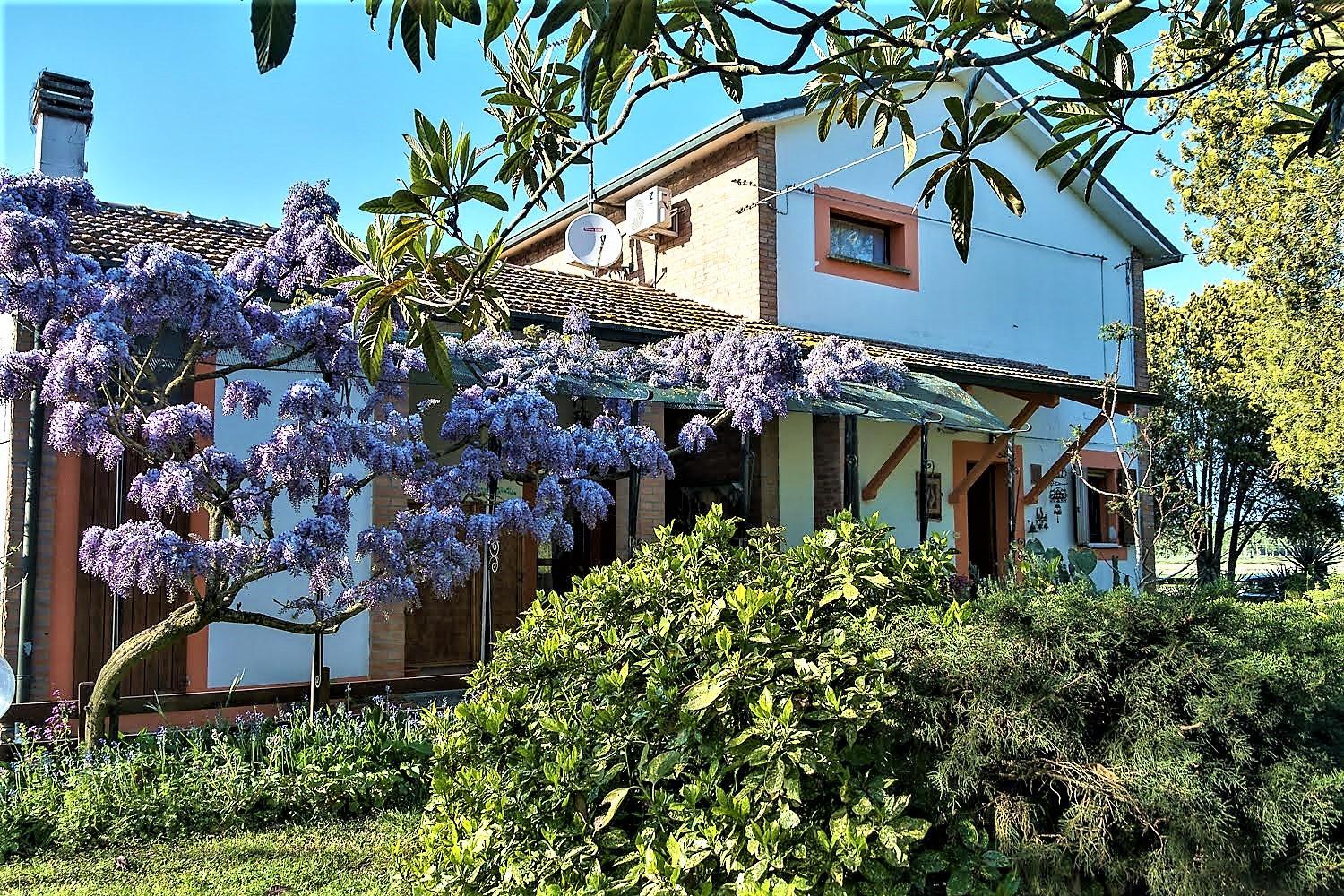 B&B La mia Oasi view 5