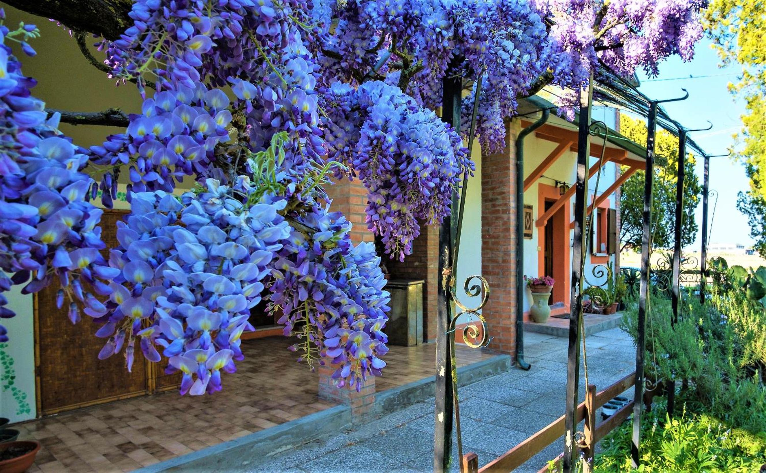 B&B La mia Oasi view 3