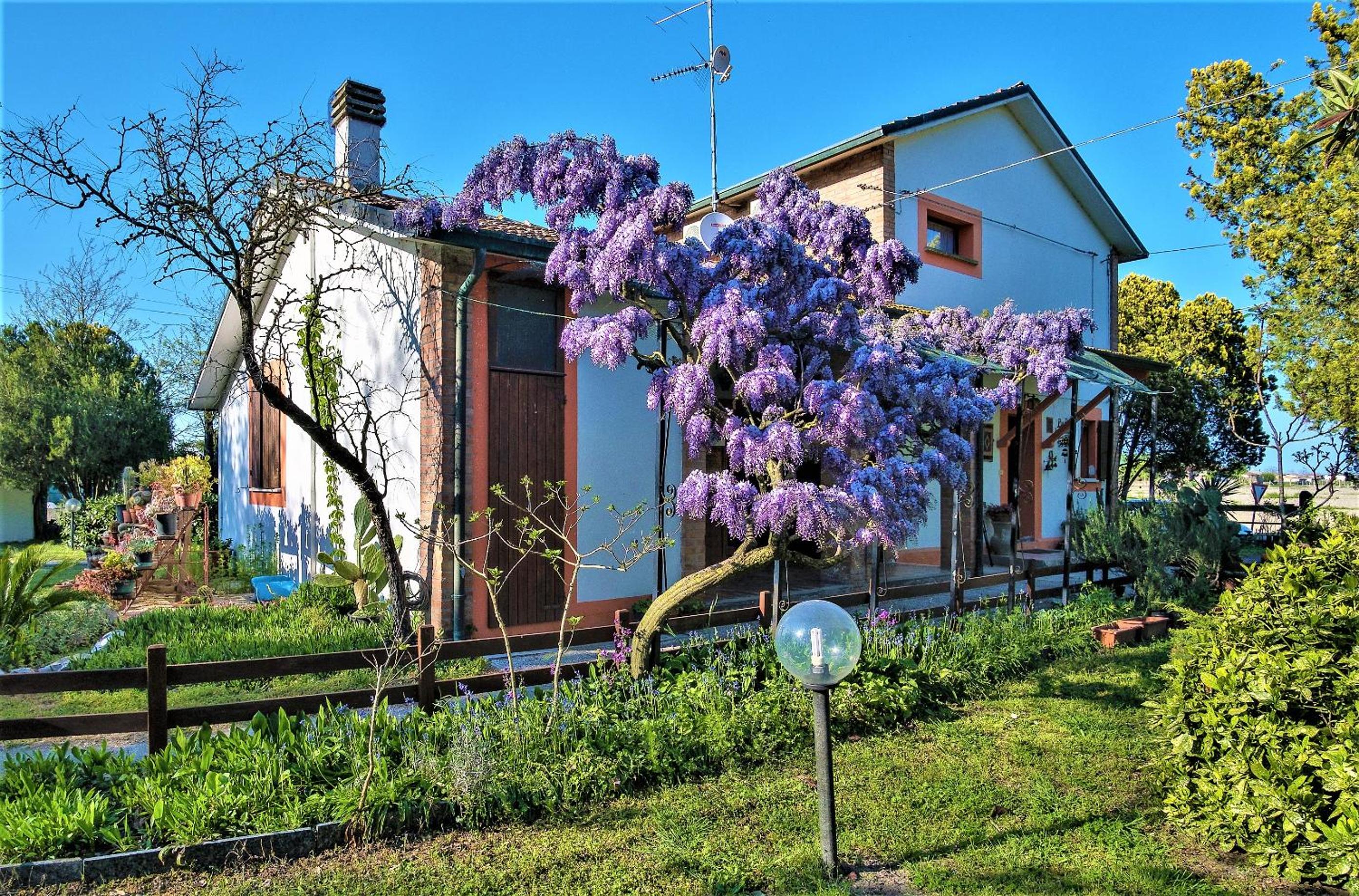B&B La mia Oasi view 2