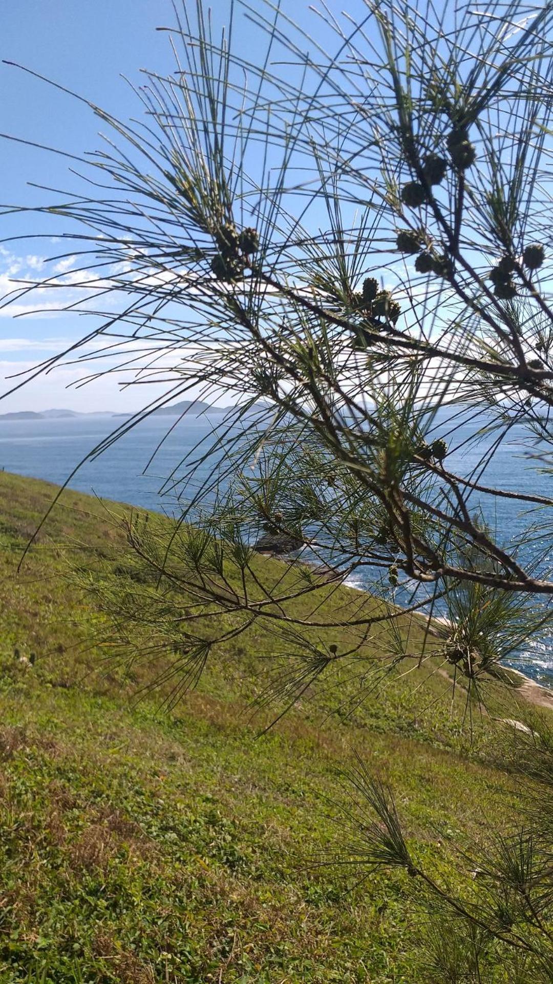 Hospedagem Flor do Mar
