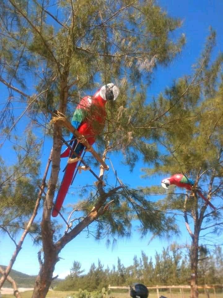 Hospedagem Flor do Mar