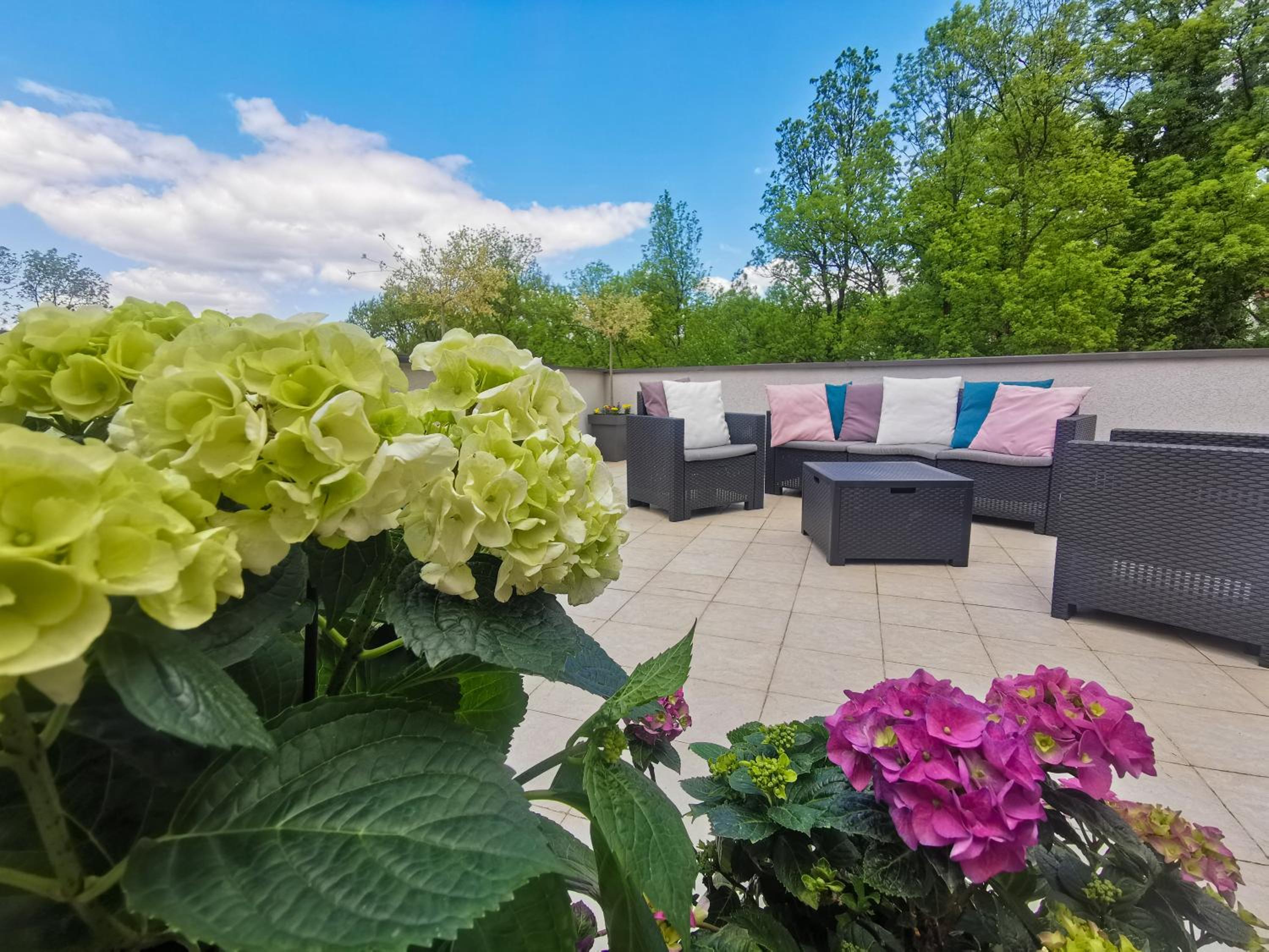 balance & terrace