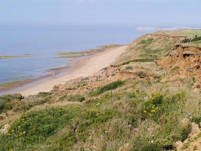 Photo 38