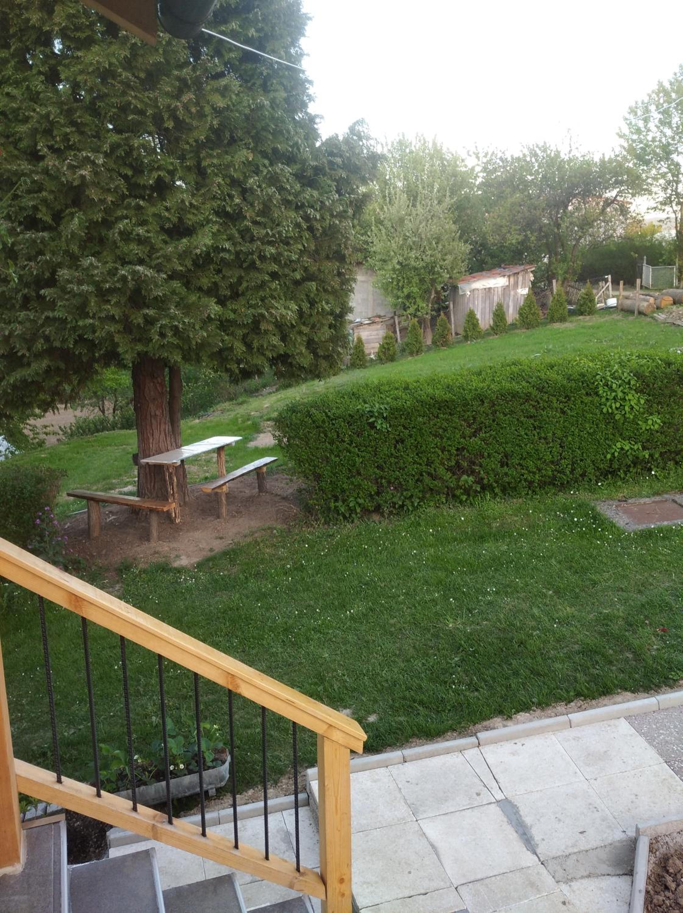 Photo 34