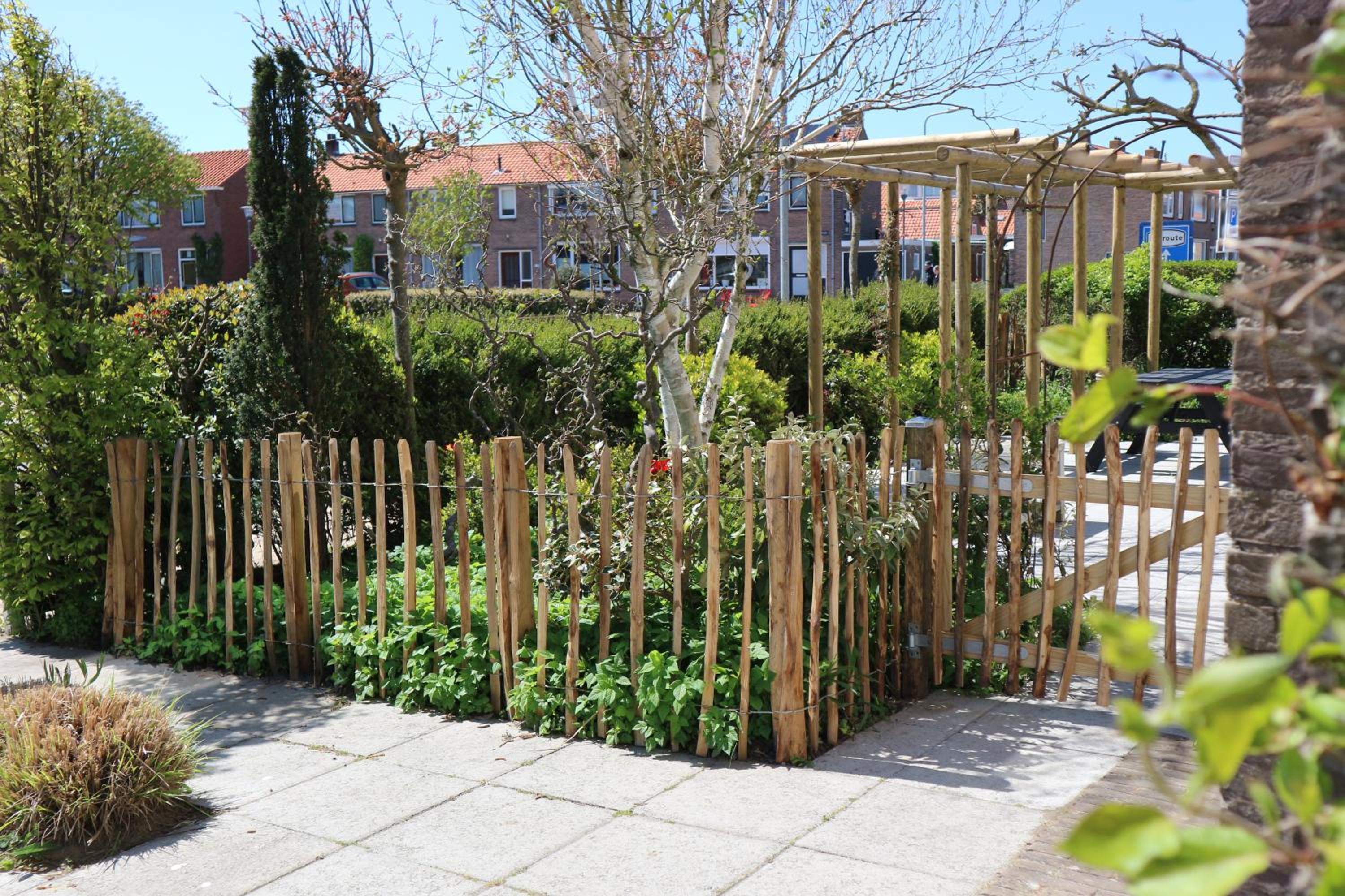 Photo 40