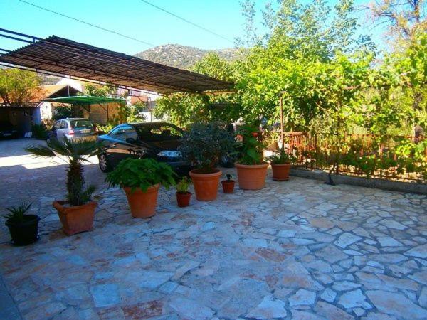Apartmani Markov view 2