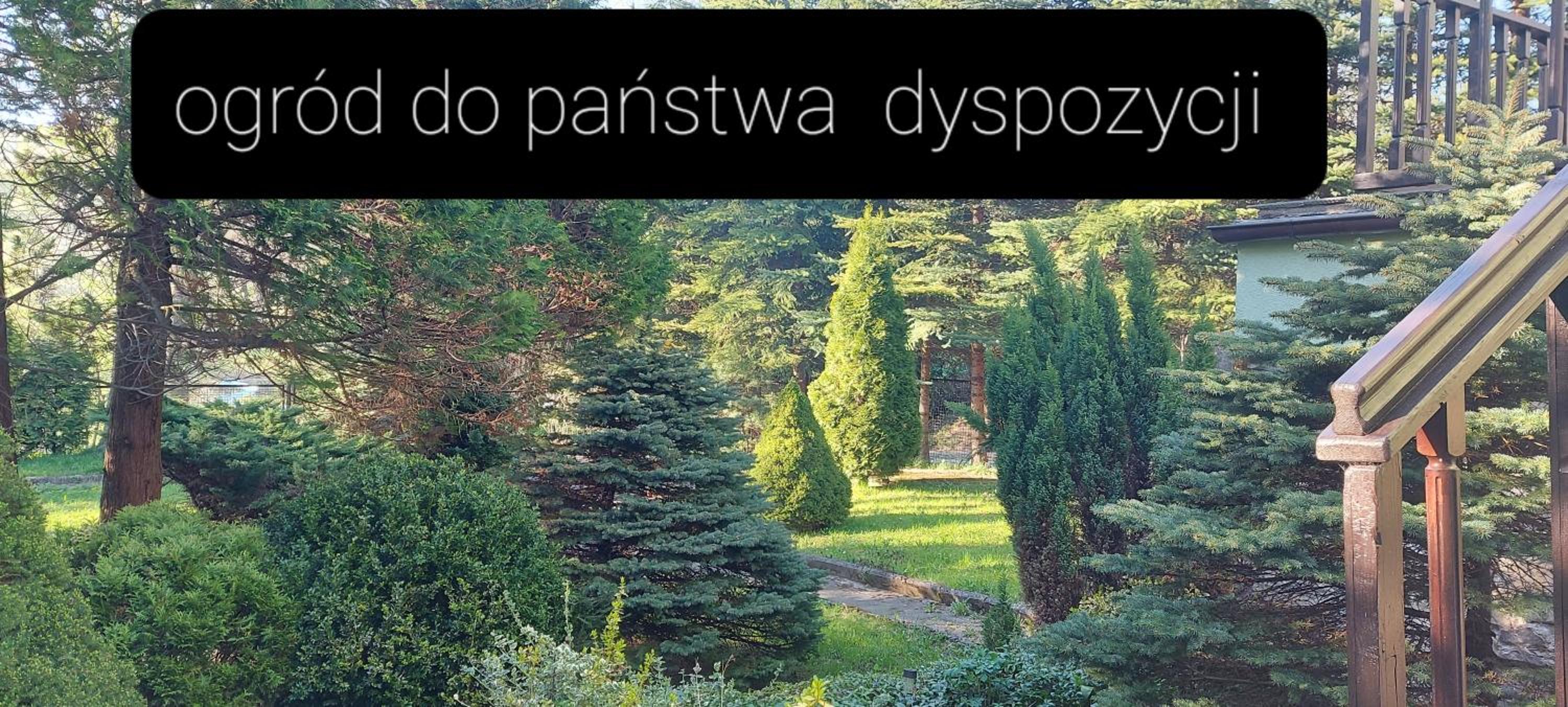 Photo 51