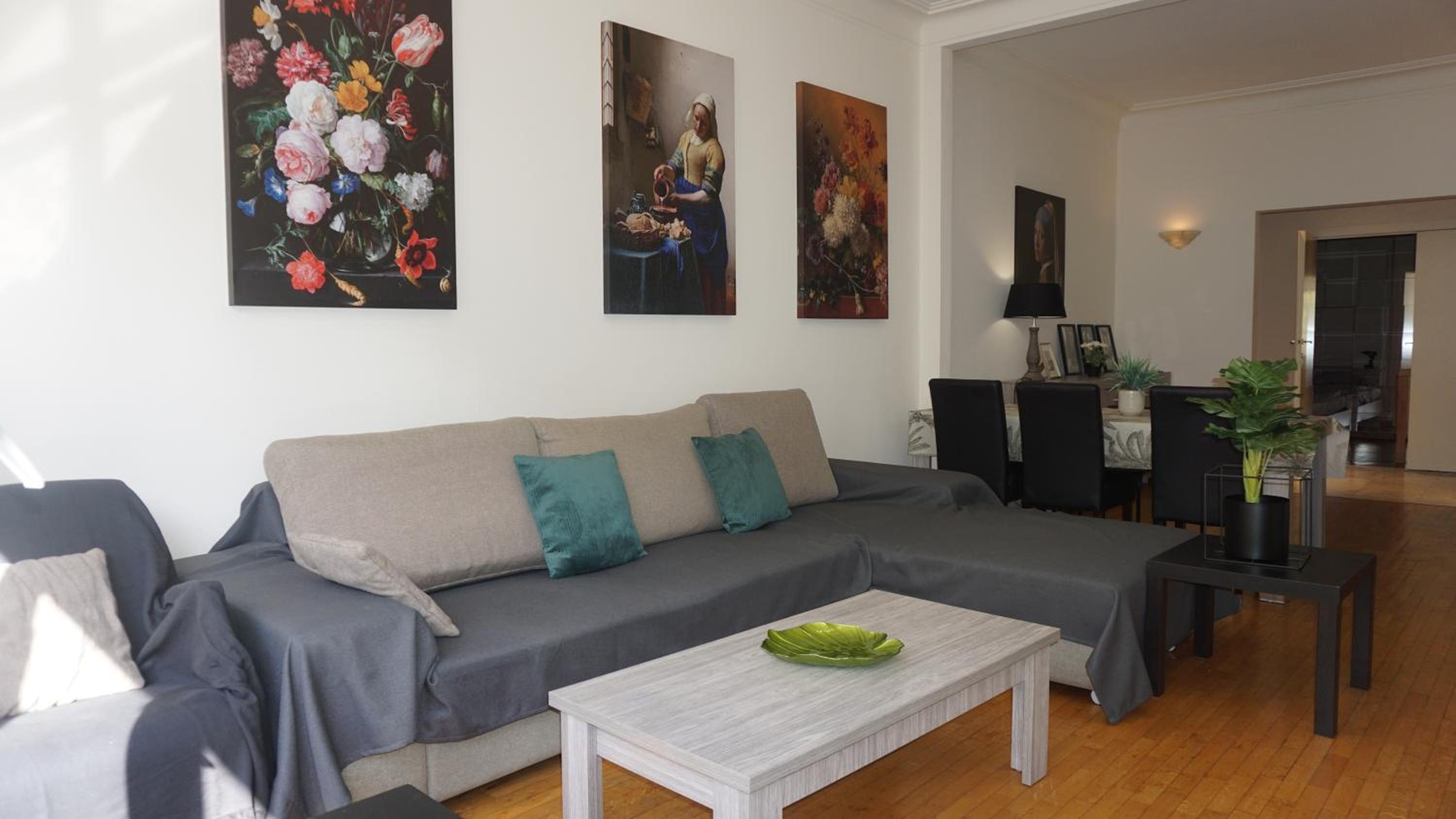 Belga Apartment 3 bedrooms. view 2