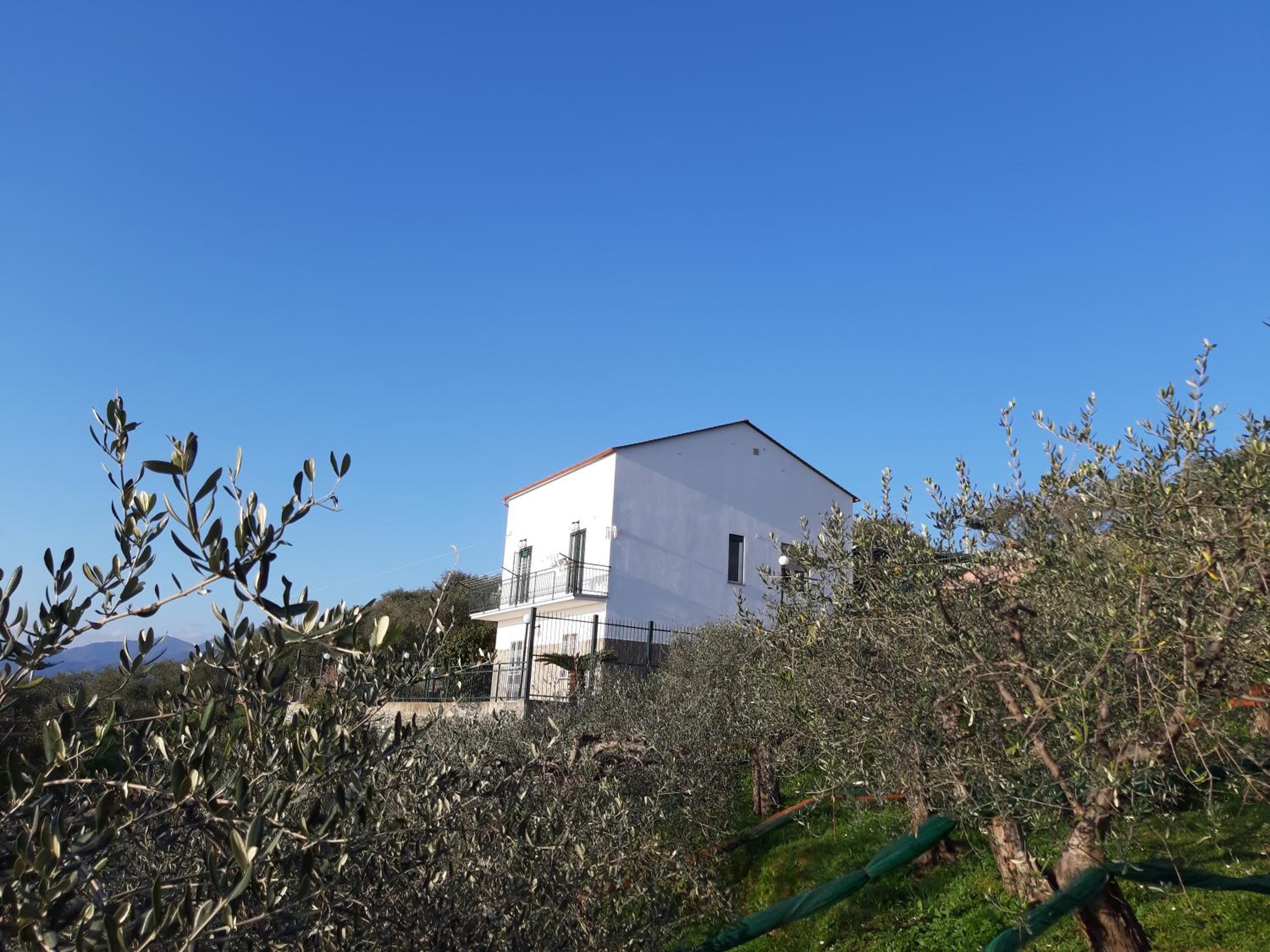 Photo 28