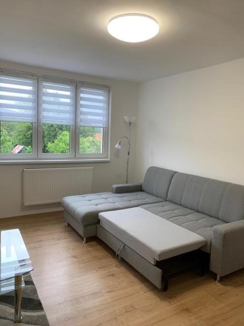 Apartmán Frymburk 30 view 5