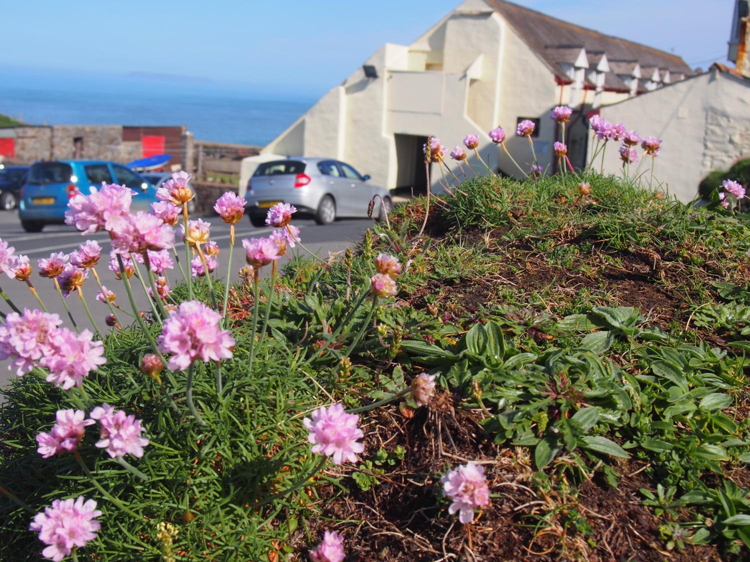Hartland Quay Hotel 22