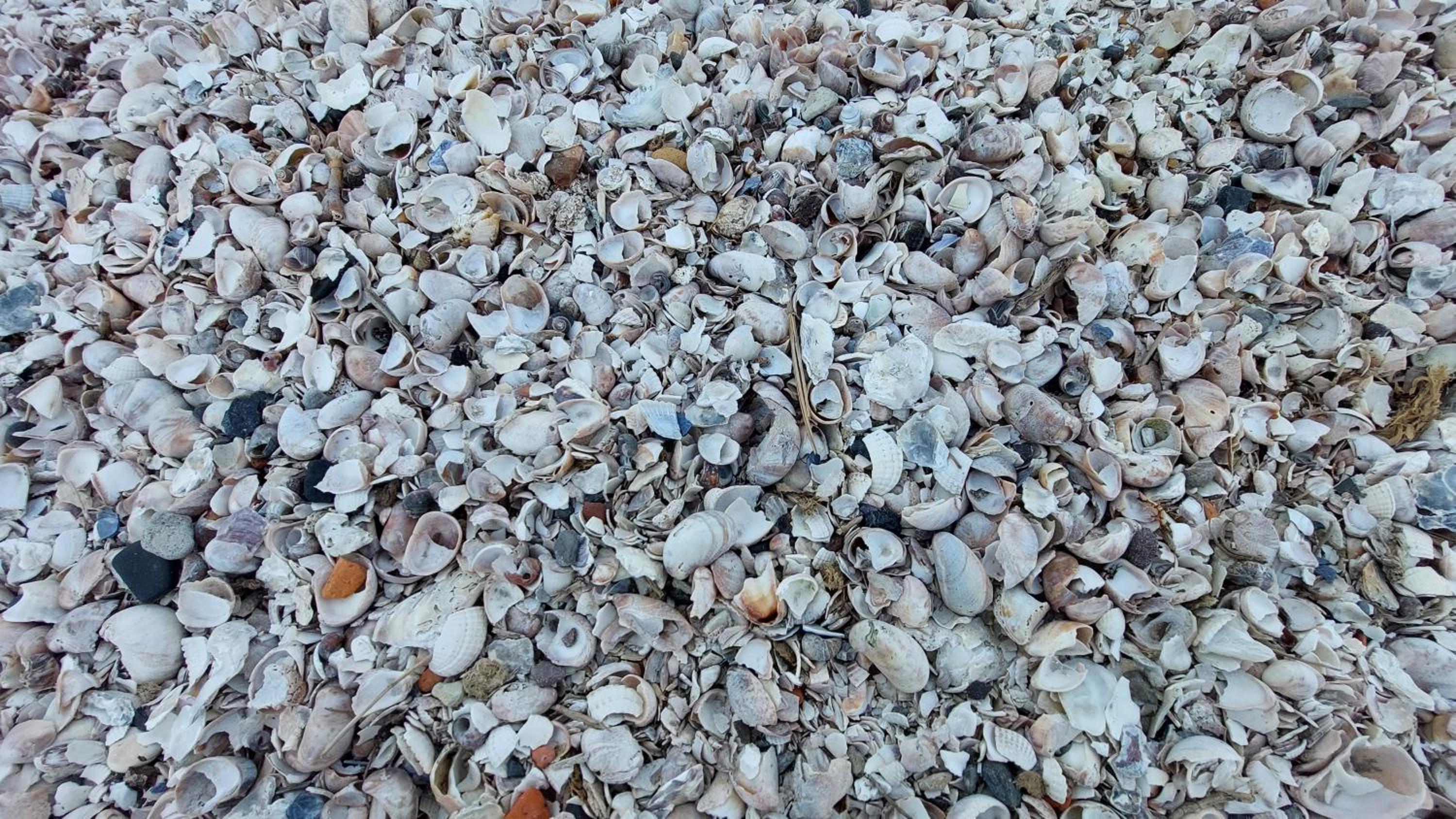 Photo 47
